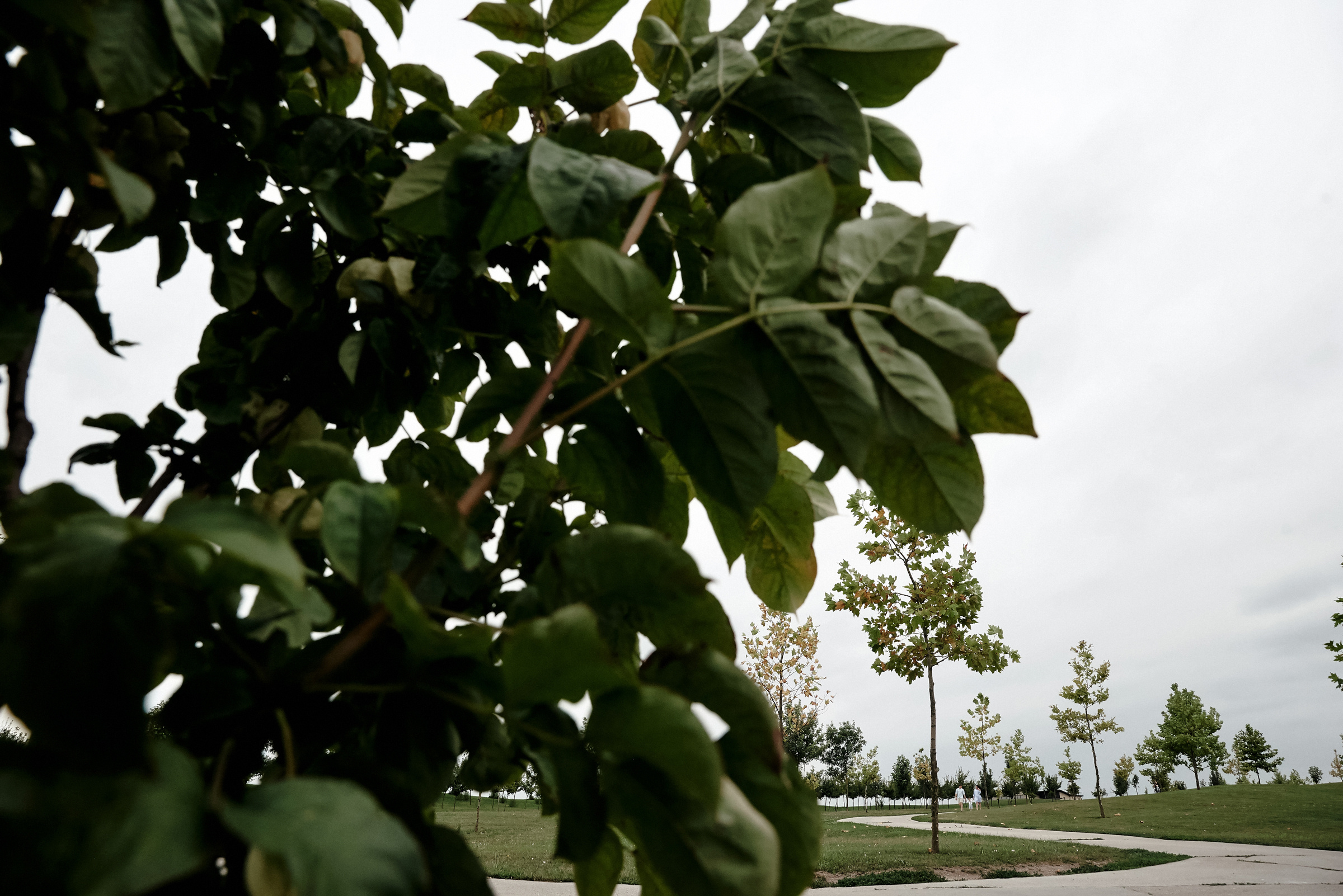 Эльвира, Максим и Тимур. Свадебный и Event фотограф в Москве | Андрей Губренко | Gubrenko