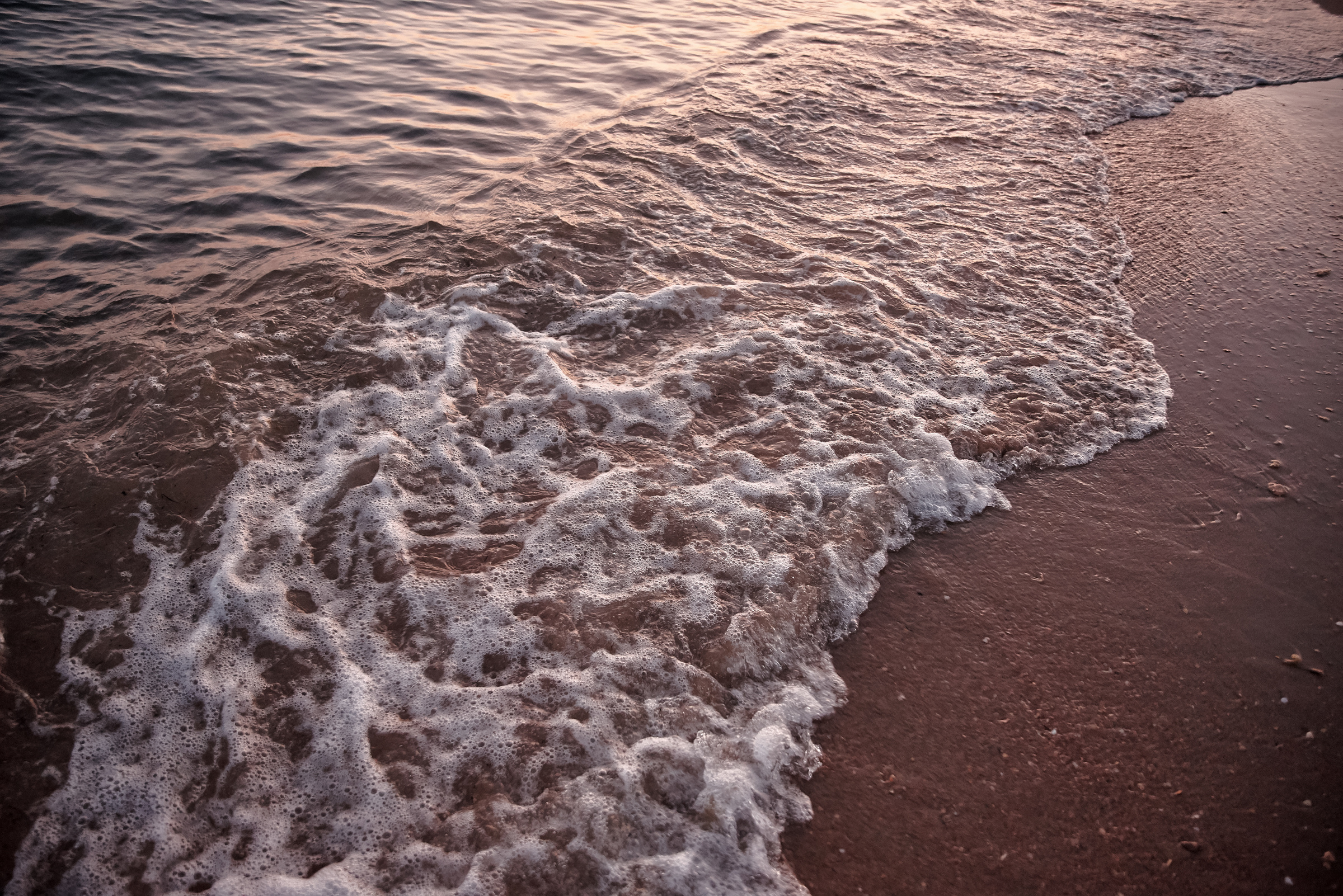 Светлана, Александр и Арсений. Свадебный и Event фотограф в Москве | Андрей Губренко | Gubrenko