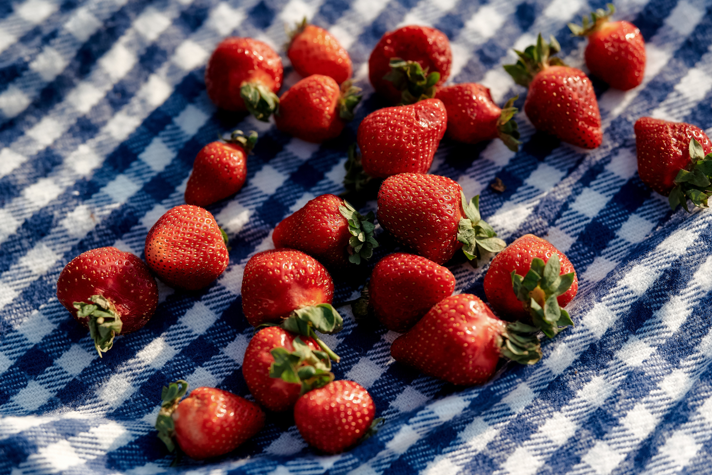 Эрик и Виктория. Свадебный и Event фотограф в Москве | Андрей Губренко | Gubrenko
