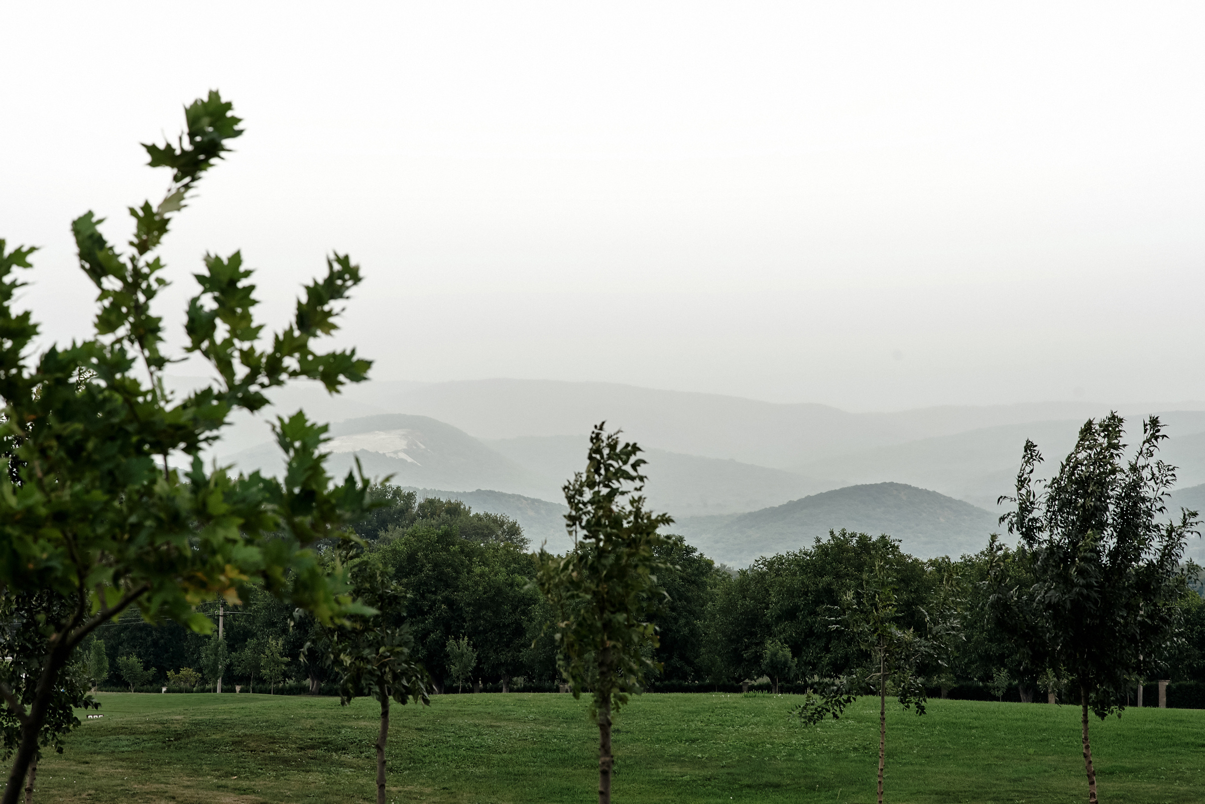 Эльвира, Максим и Тимур. Свадебный и Event фотограф в Москве | Андрей Губренко | Gubrenko