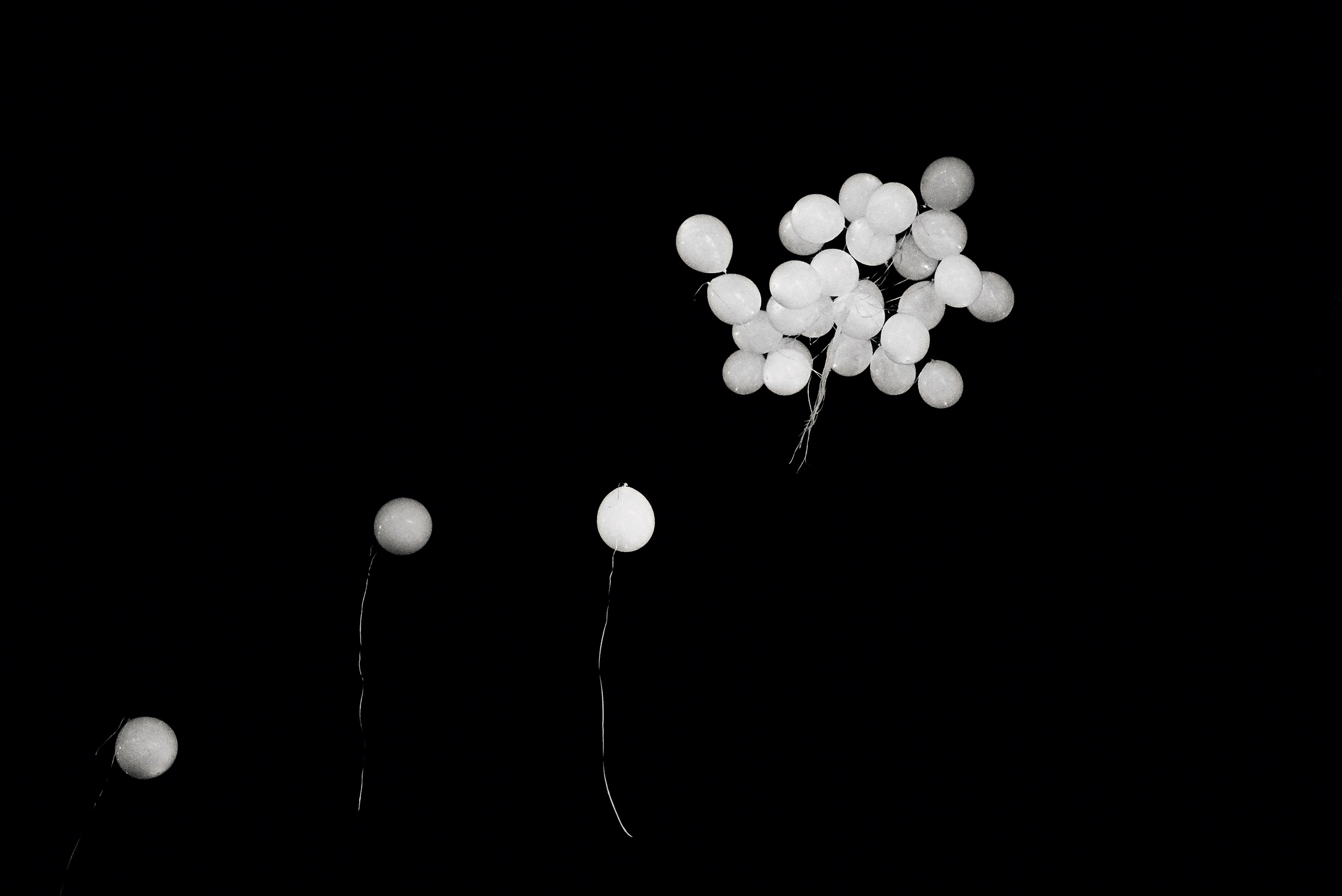 HIGH & LOW. Свадебный и Event фотограф в Москве | Андрей Губренко | Gubrenko