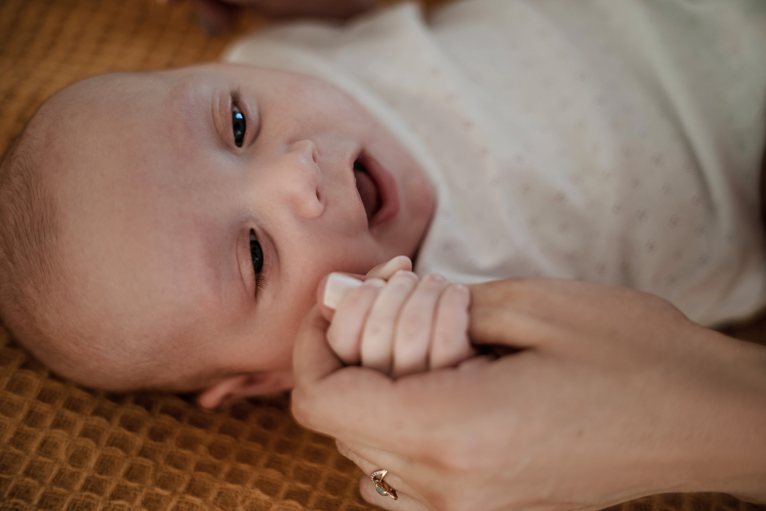 Ольга и Илья, Роман и Дима. Семейный и детский фотограф в Краснодаре Ксения Новикова