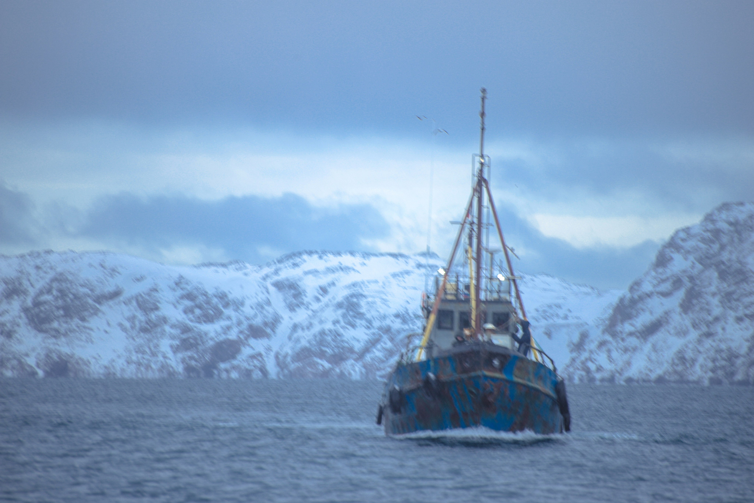 Фото с прогулок и с поездок на Кольский полуостров
