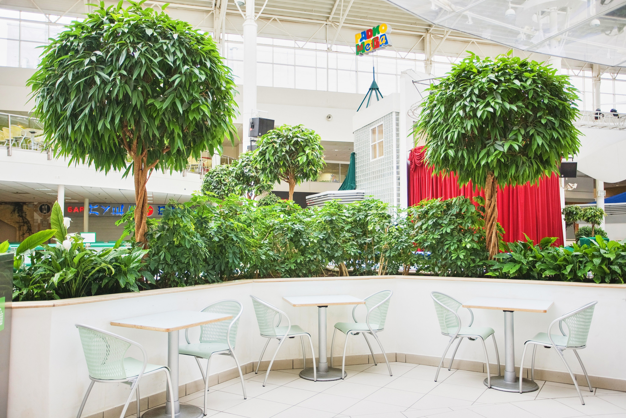 Озеленение ГК Techo. Фото и видео съемка в Сочи Адлере Красной поляне