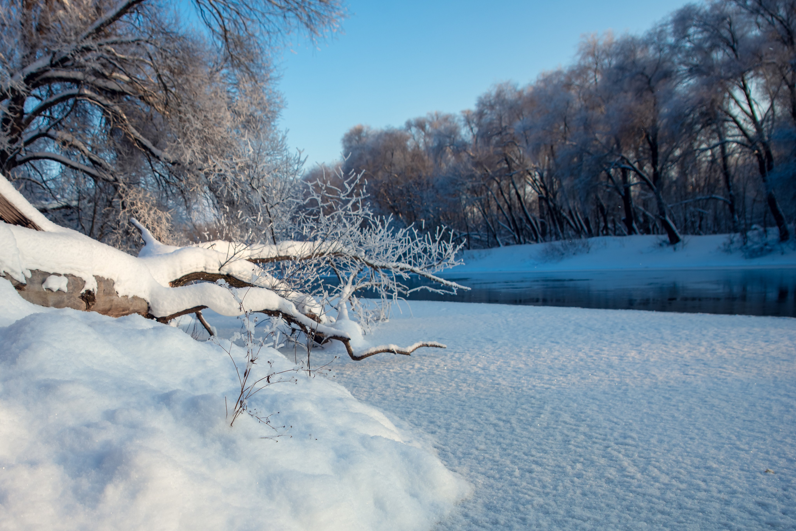 Зимушка зима. Фотограф Крещение Венчание Москва