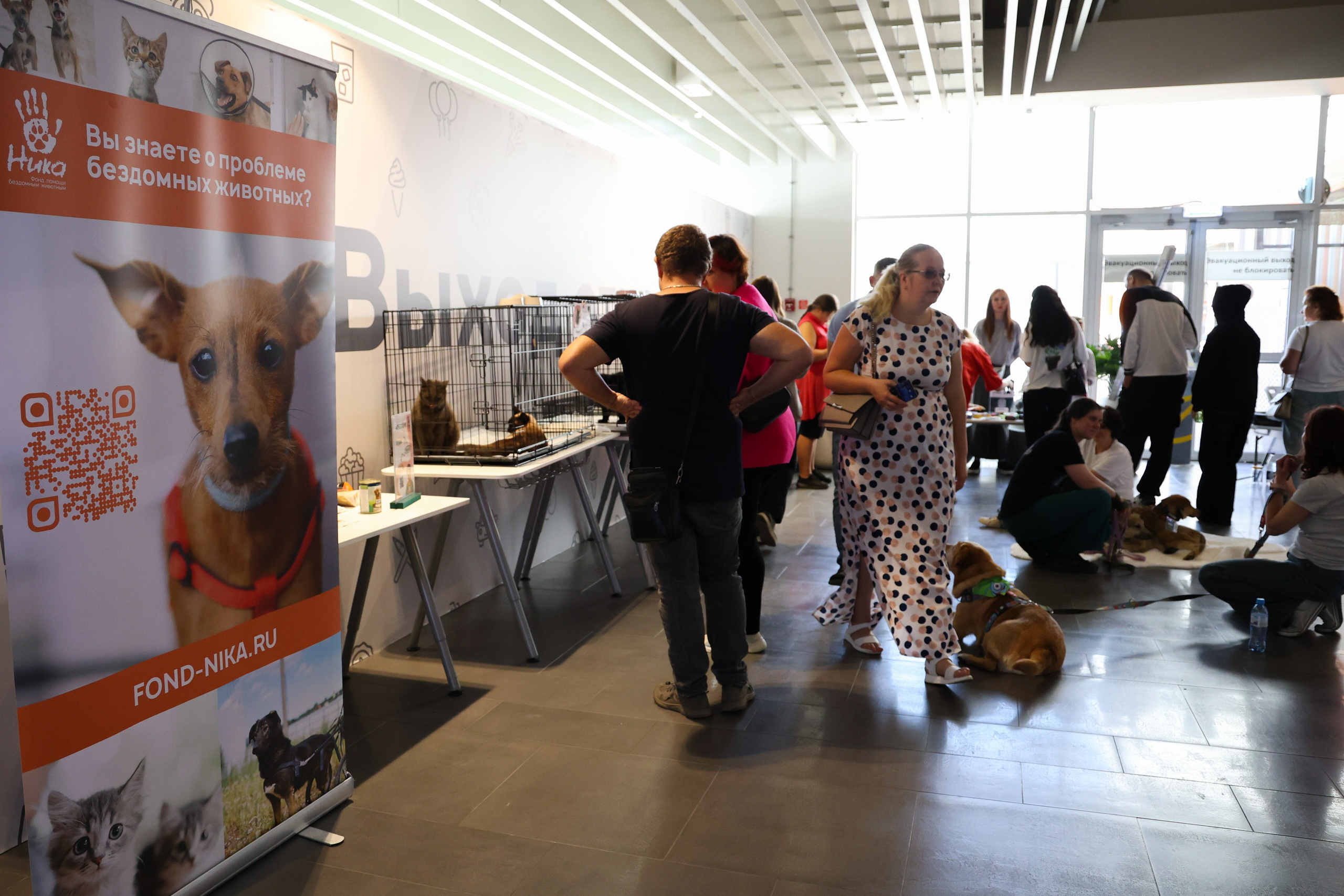 ECO FEST. Фотограф Вадим Бодылев