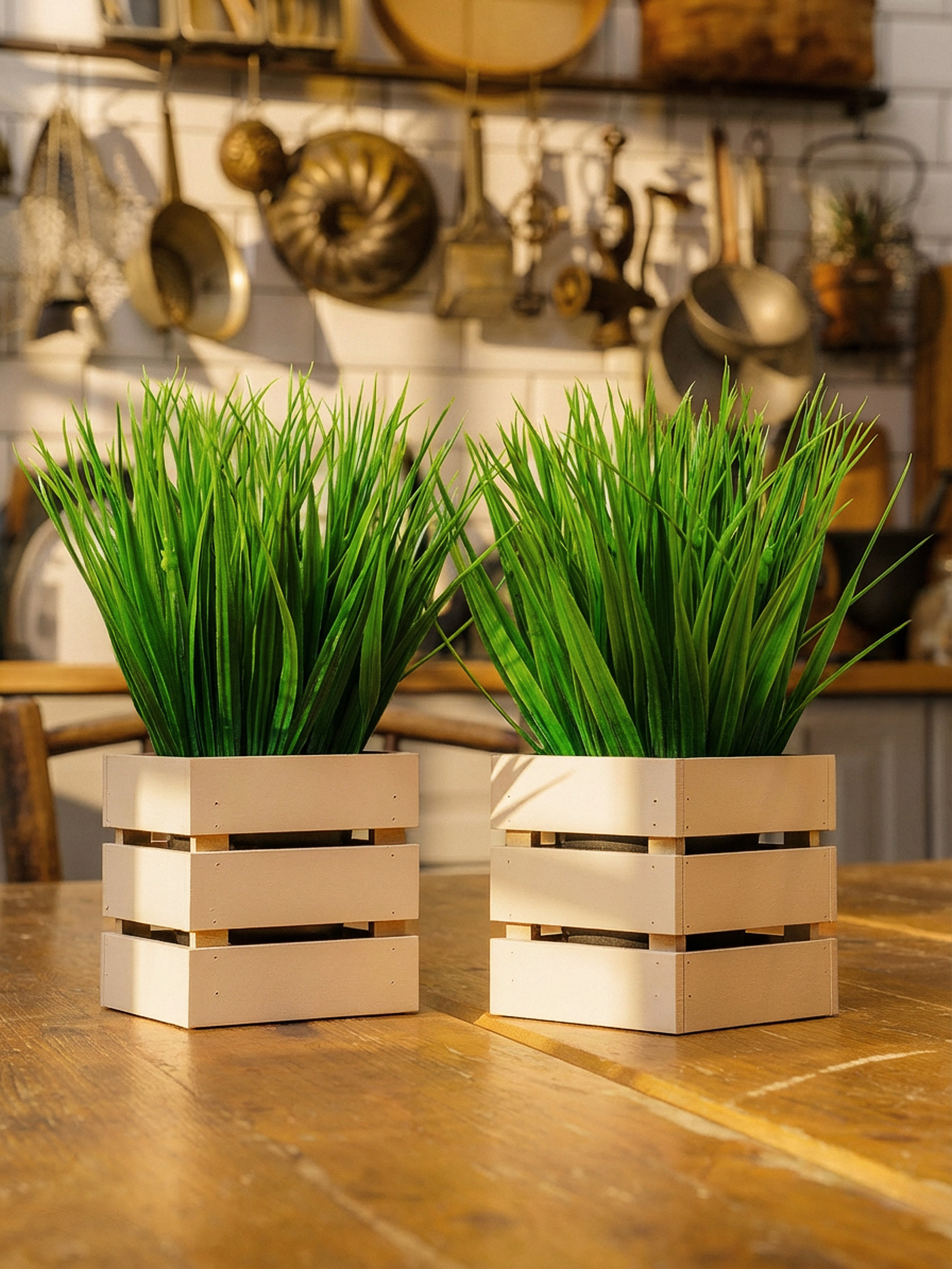 Кашпо. Макаров Сергей|Creamlebot Фотограф города Ростов-на-Дону