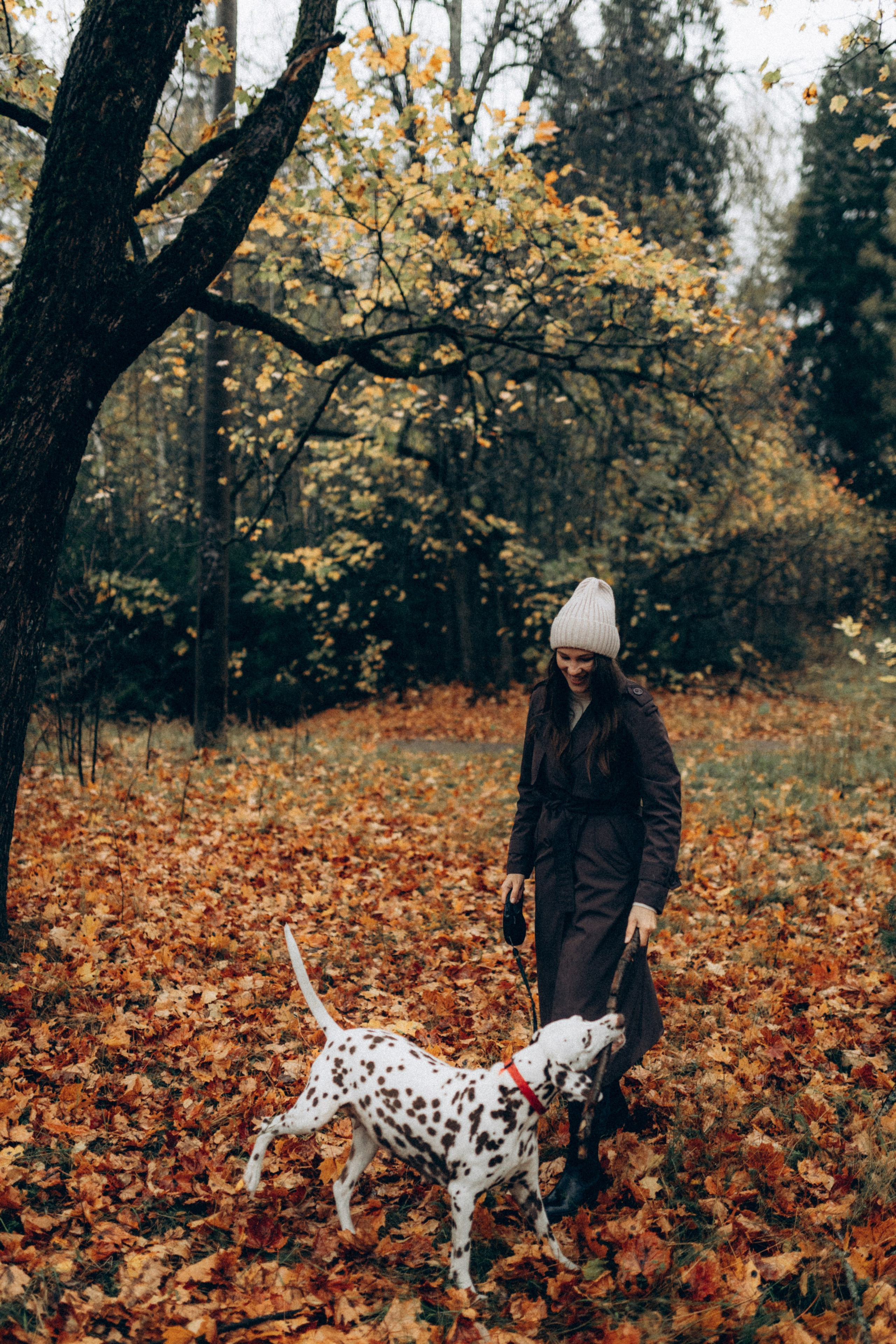 Анфиса & Нисма. Фотограф НОГИНСК, Москва, Анастасия Белая