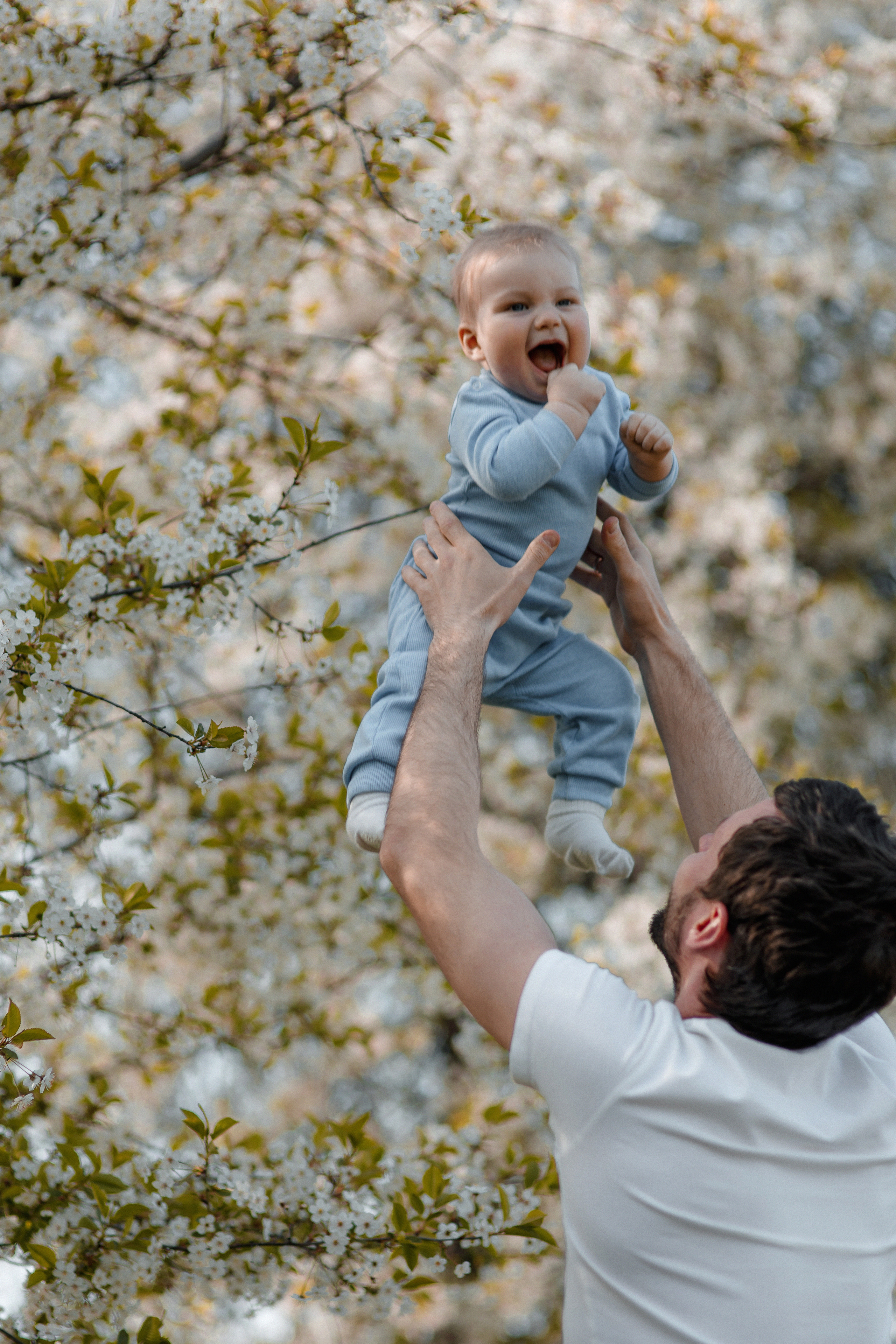 «Мадонна» в цветущих садах