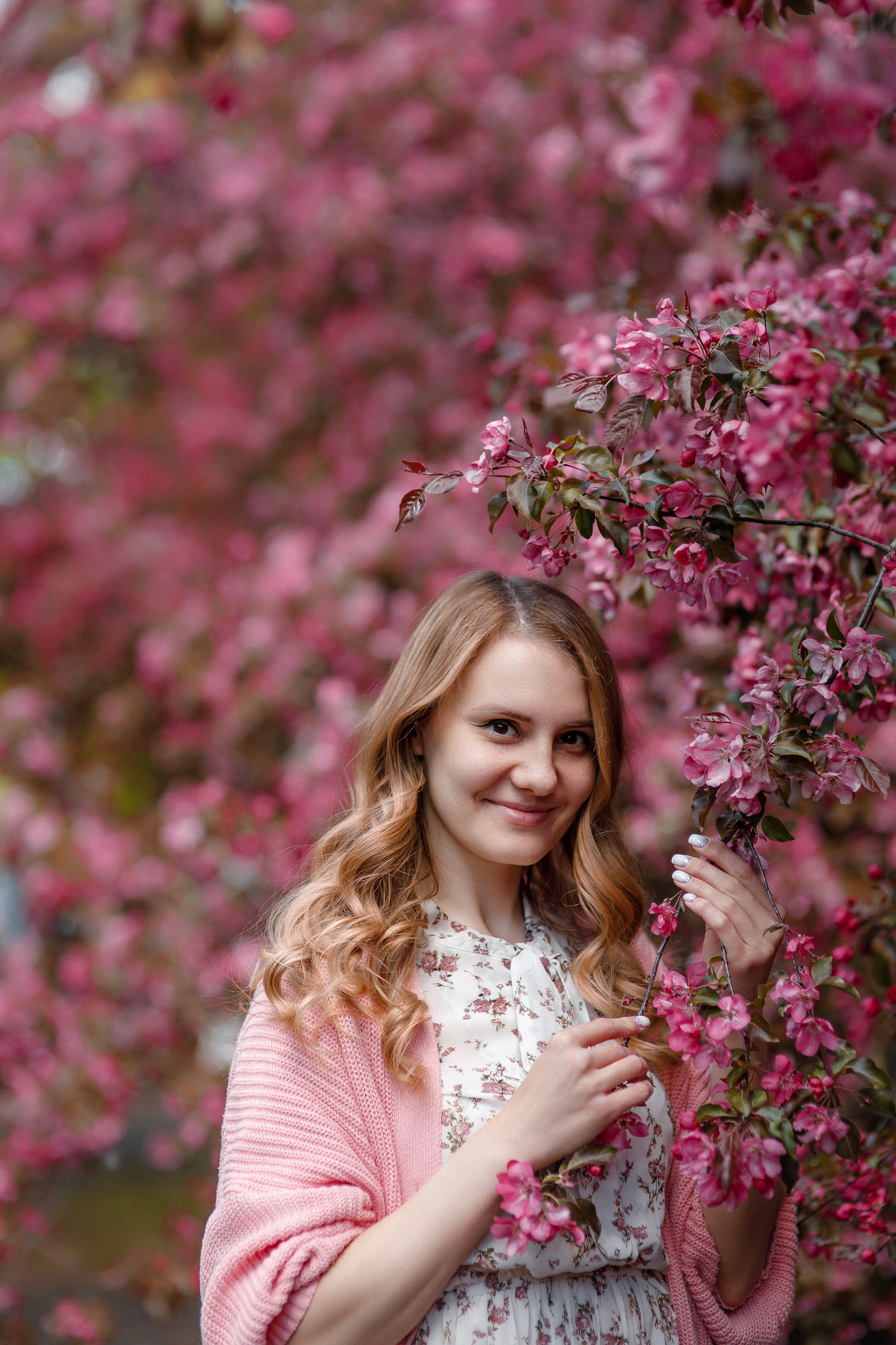 Розовые яблони — Катюша