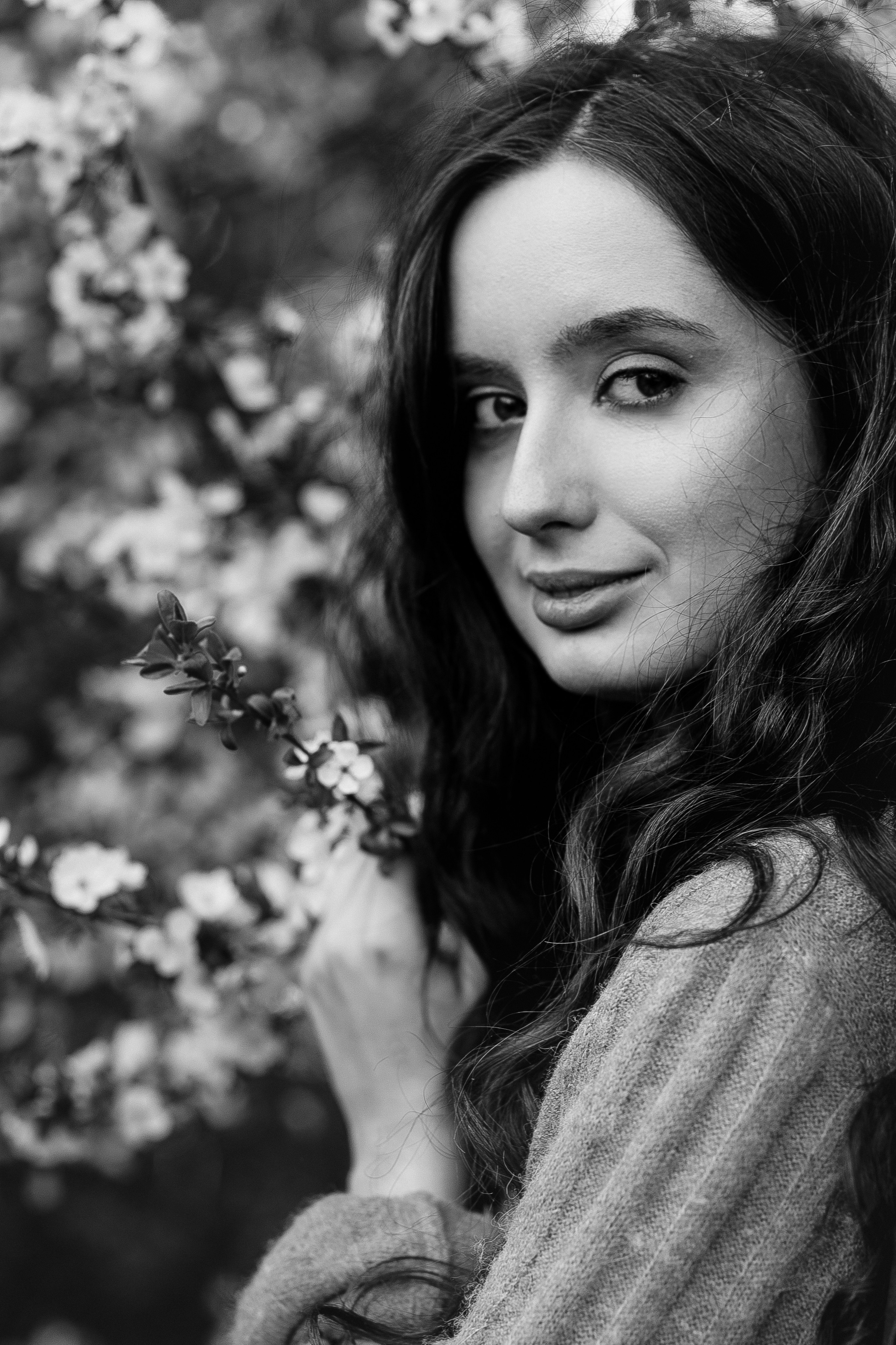 Цветение вишни в коломенском 2022