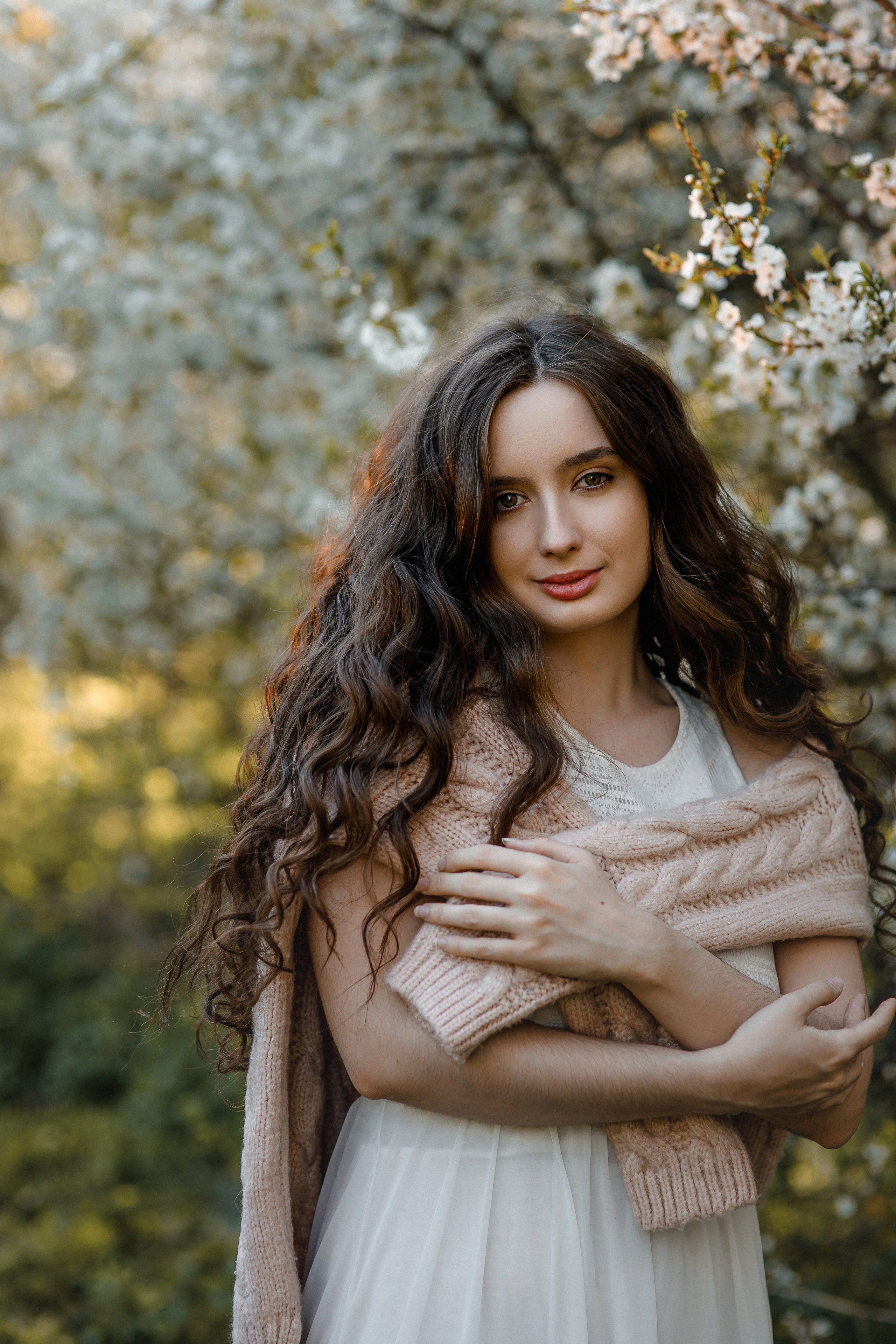 Цветение вишни в коломенском 2022