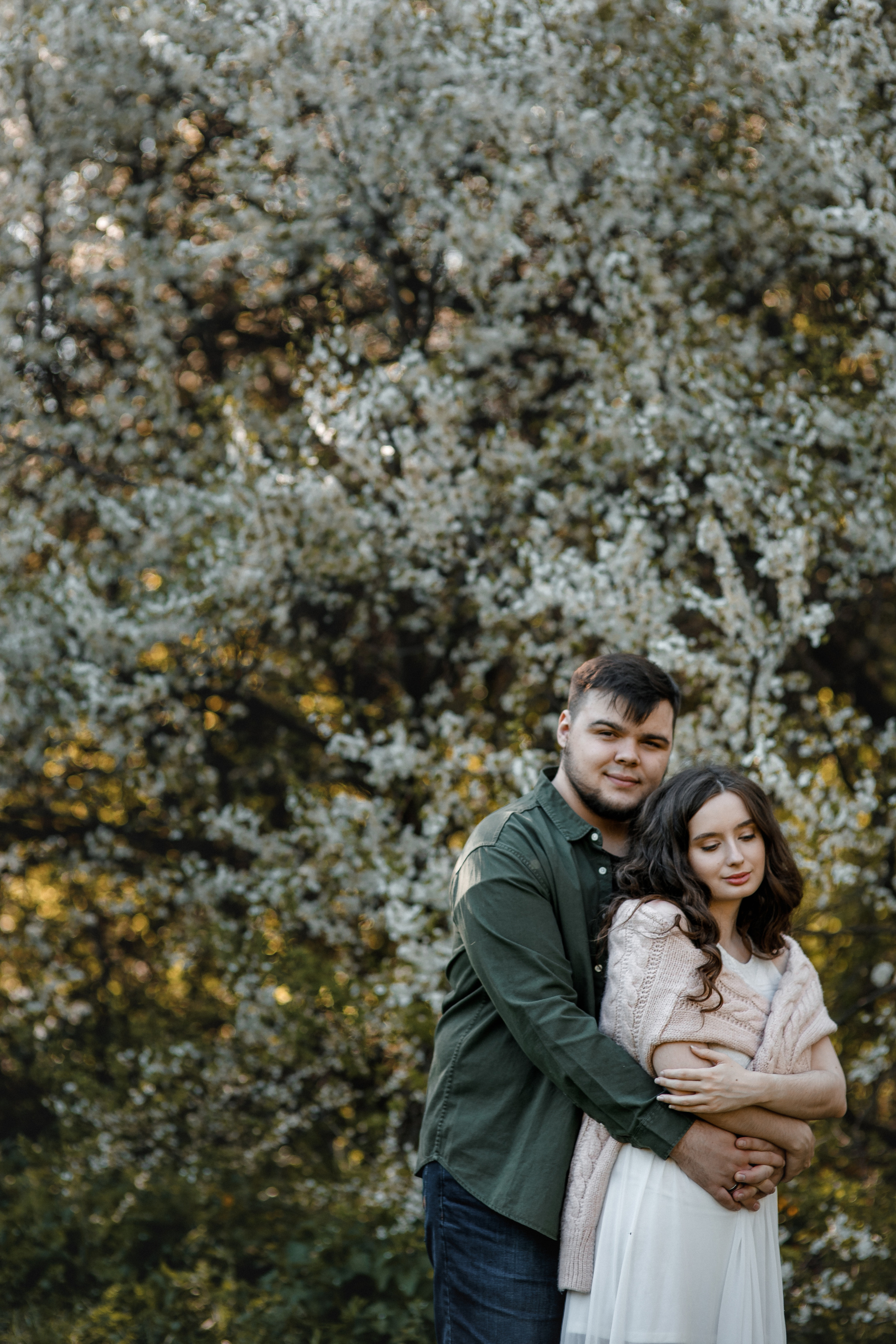 Цветение вишни в коломенском 2022