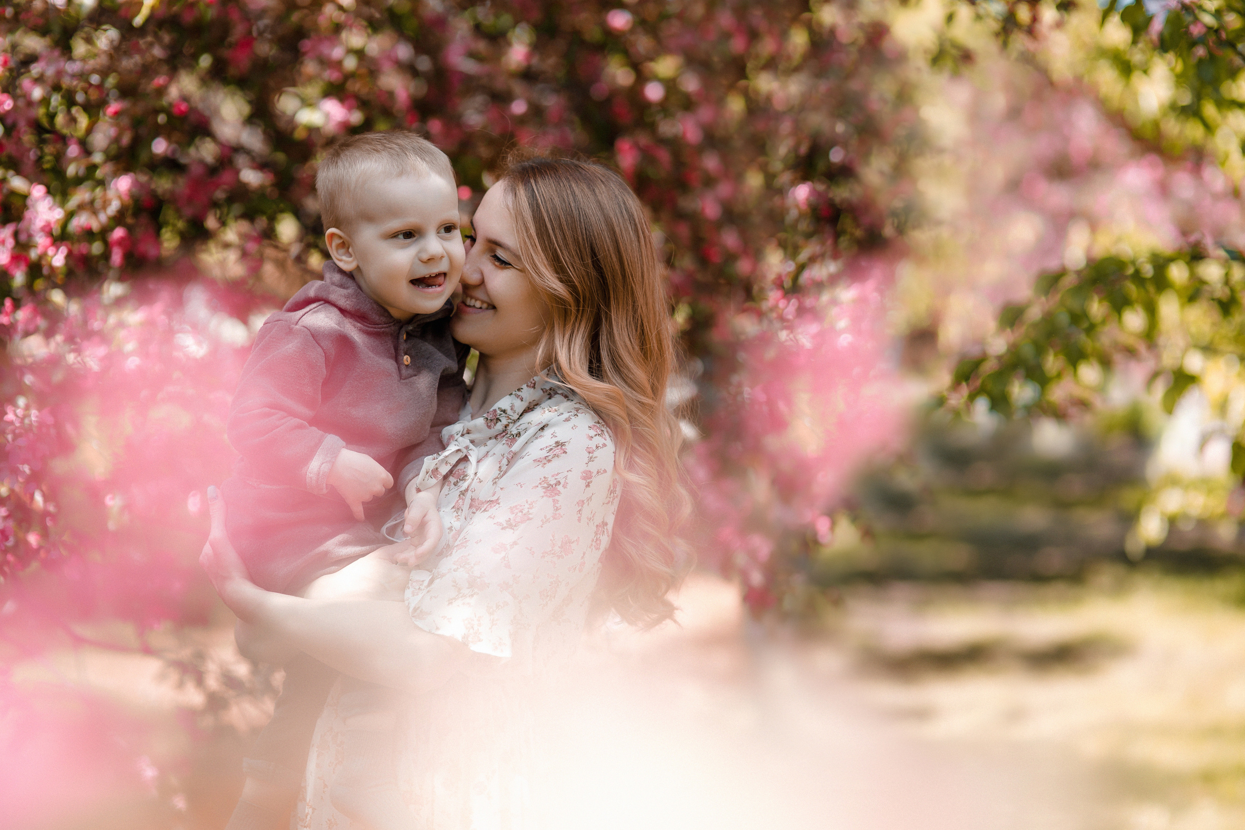 Розовые яблони — Катюша