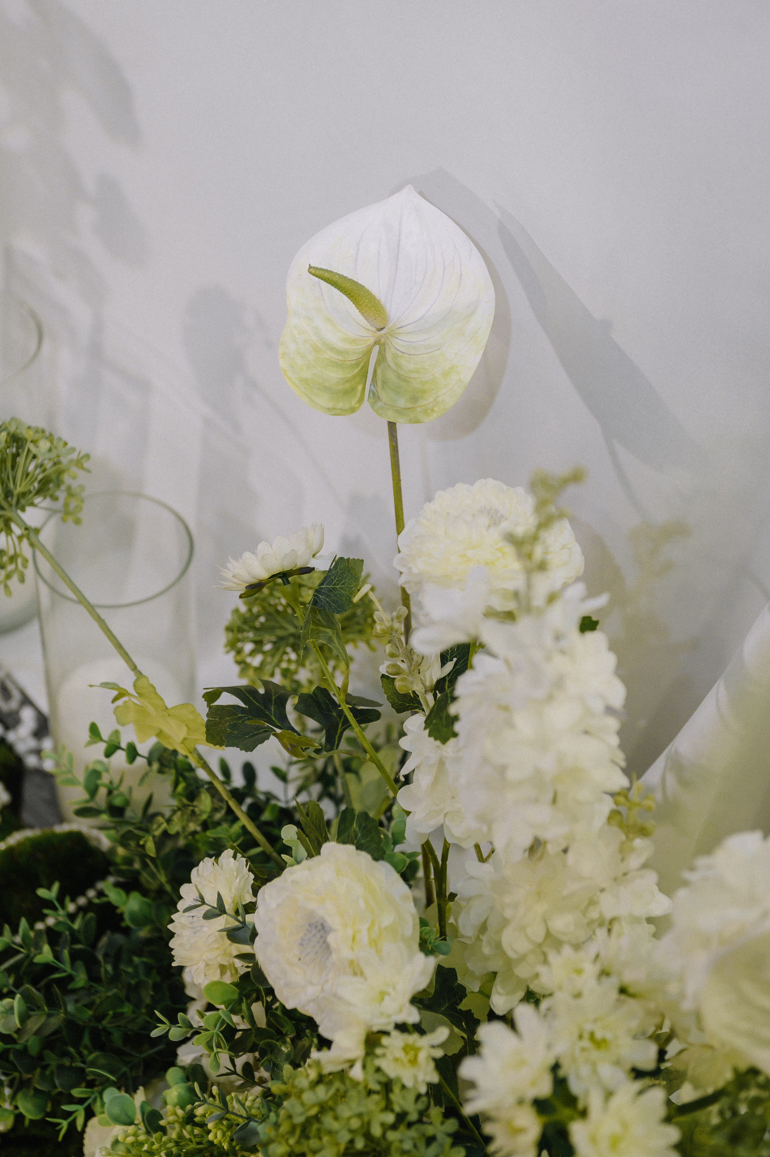 Владимир и Елизавета. Свадебный фотограф