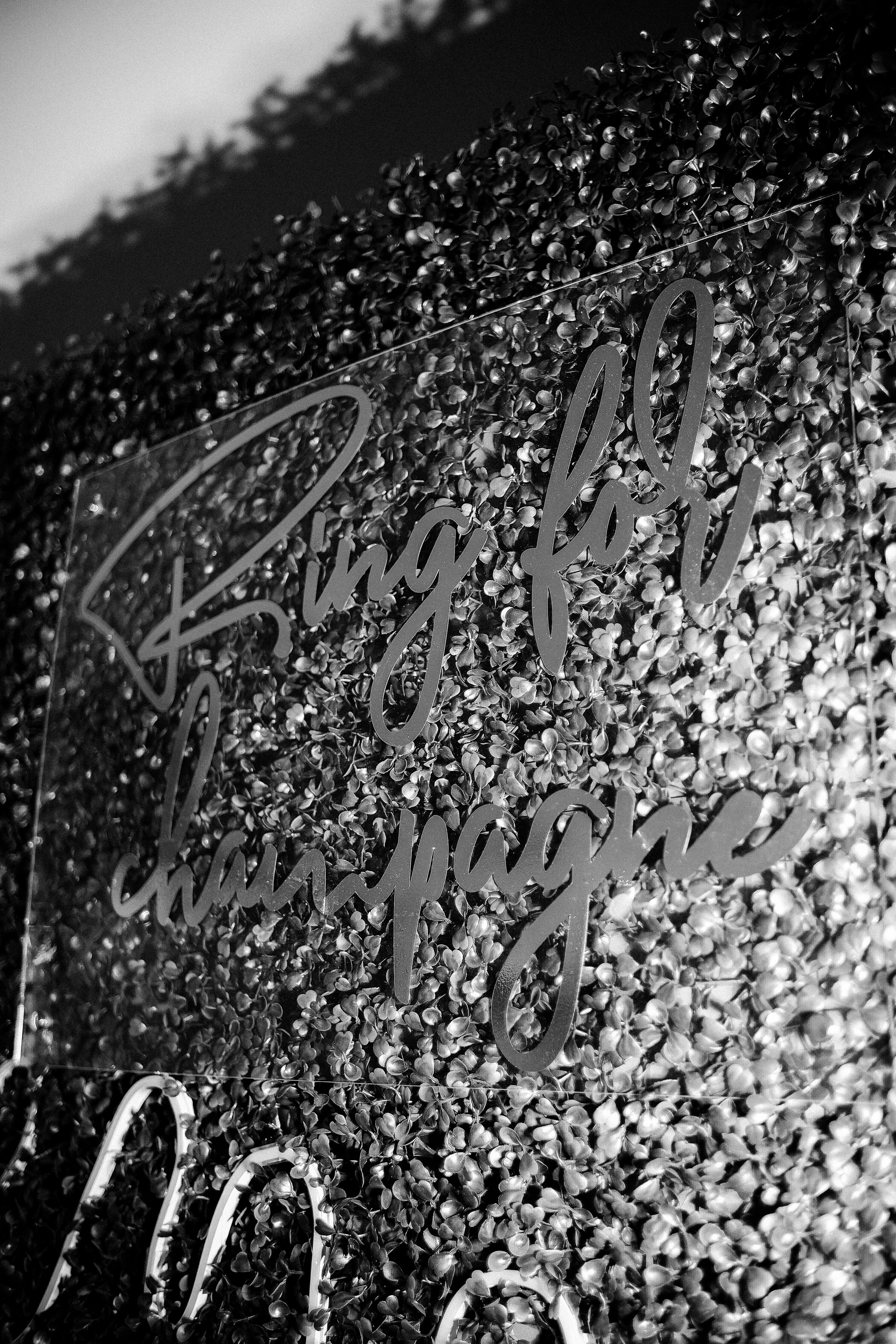 Оля & Денис СПБ. Phdkvmr.ru