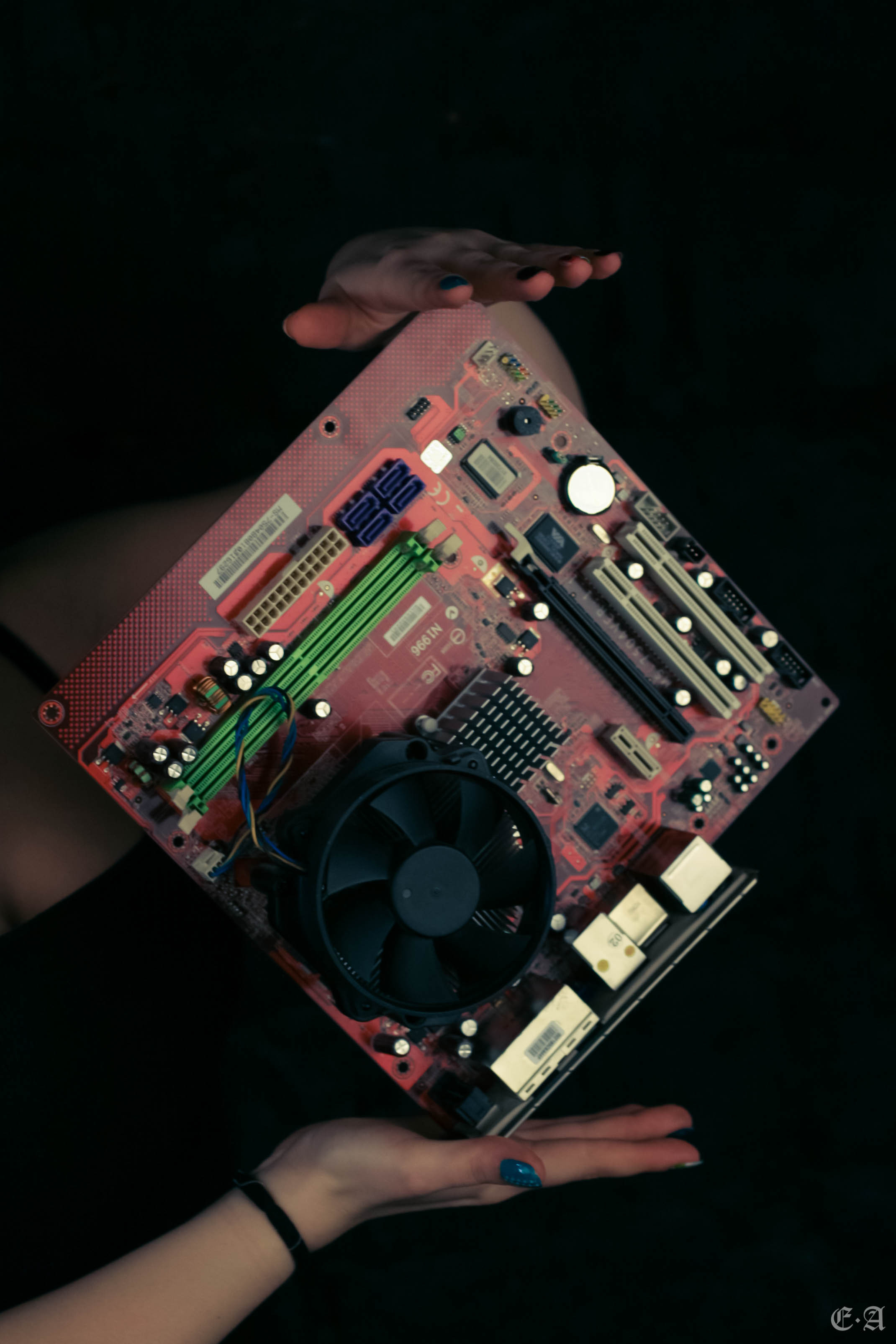 Девушка сисадмина. Фотограф Ellairen