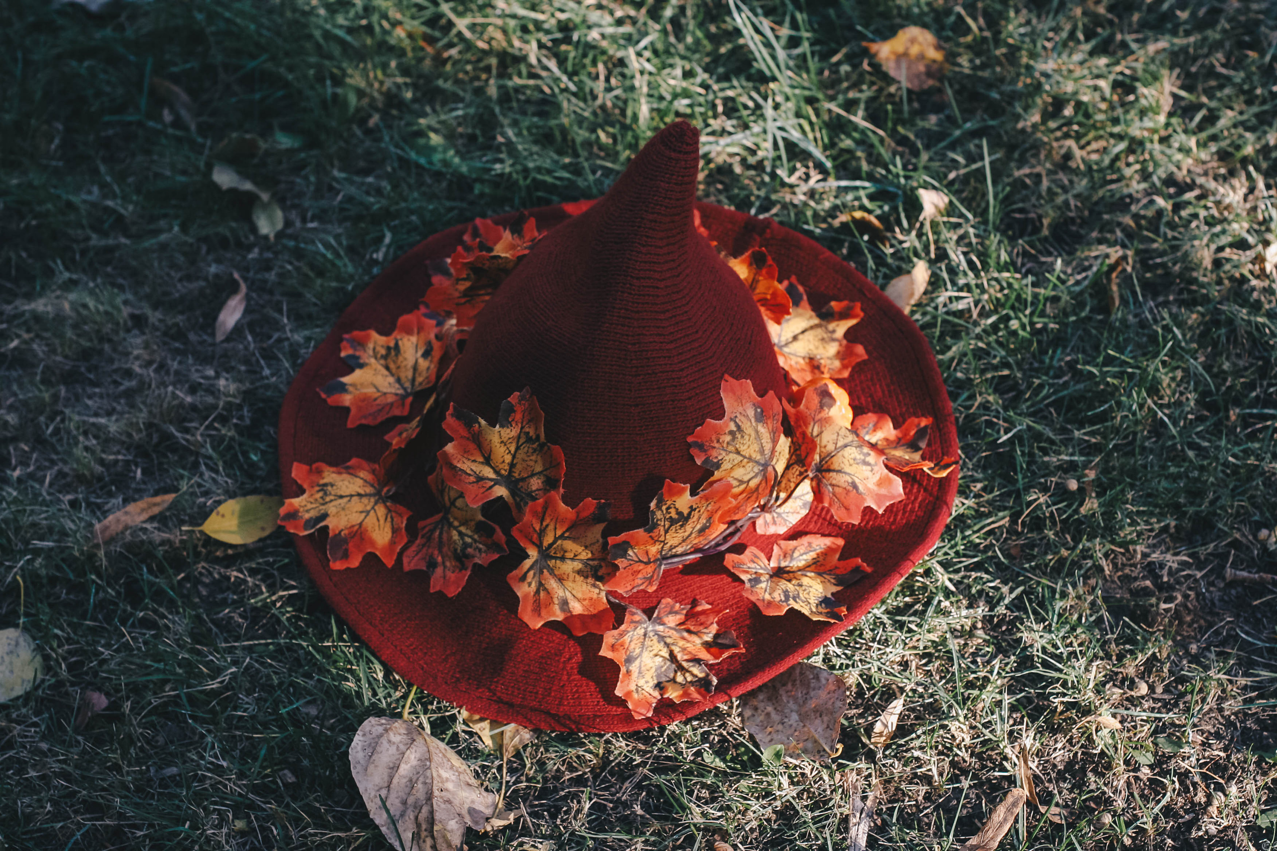 Ведьмочка Марион. Фотограф Ellairen