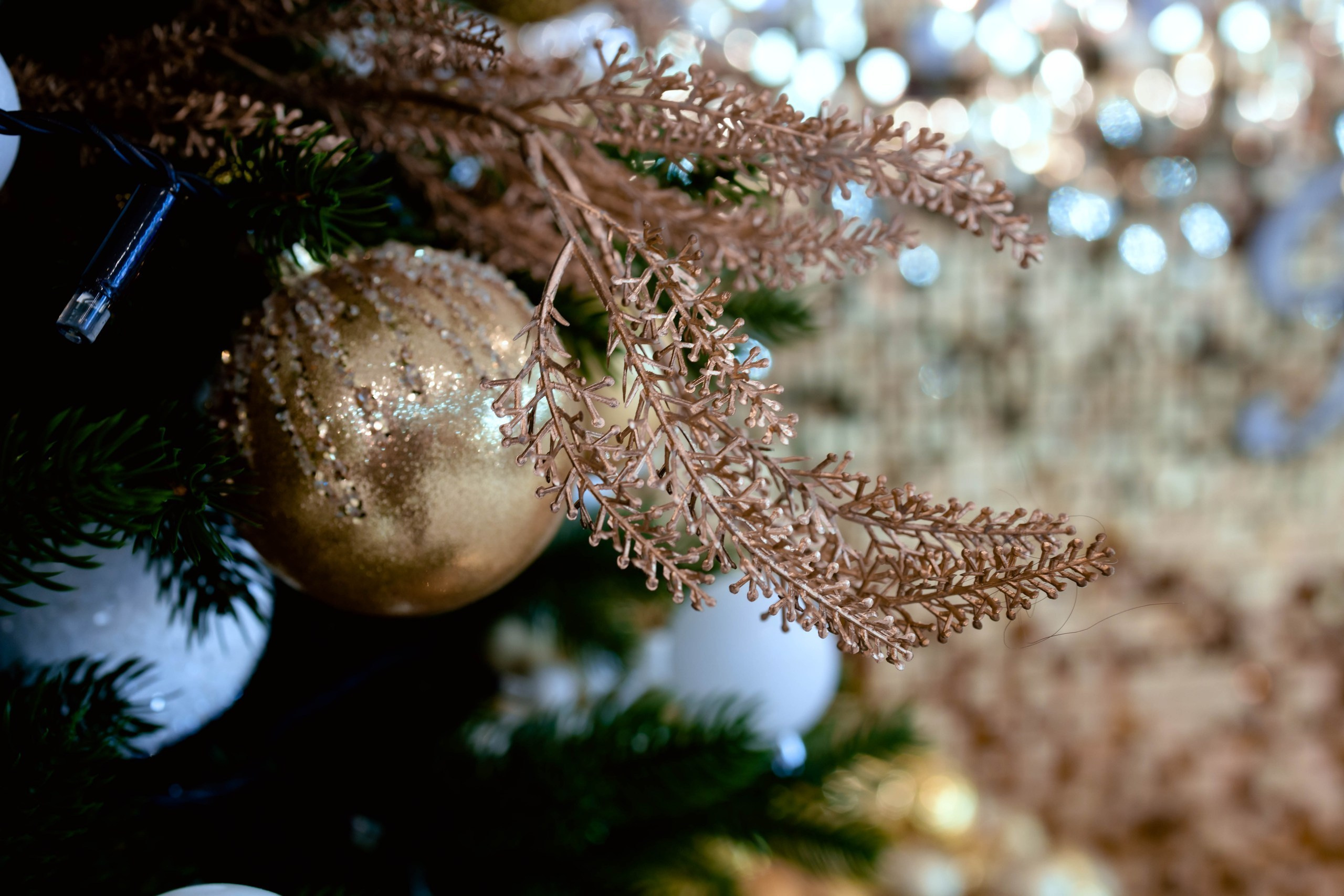 ОТЗЫВЫ. Репортажный, каталожный, корпоративный, семейный фотограф Новосибирск