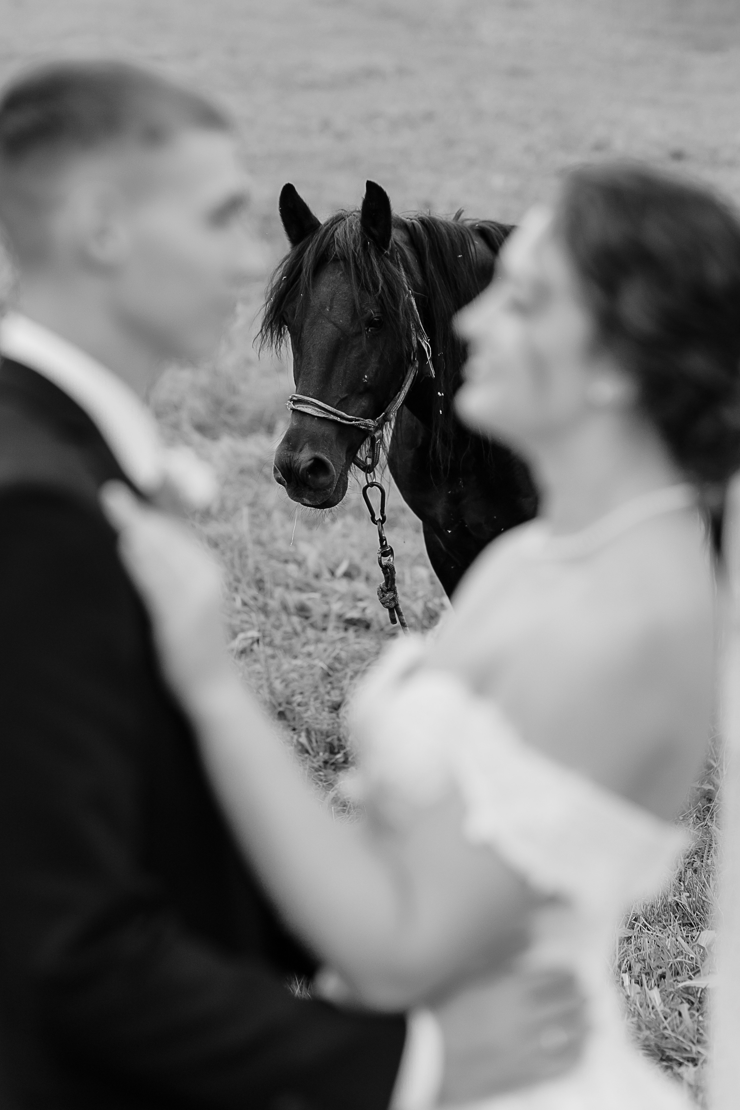 Антон и Диана. Свадебный и семейный фотограф в Твери и Тверской области