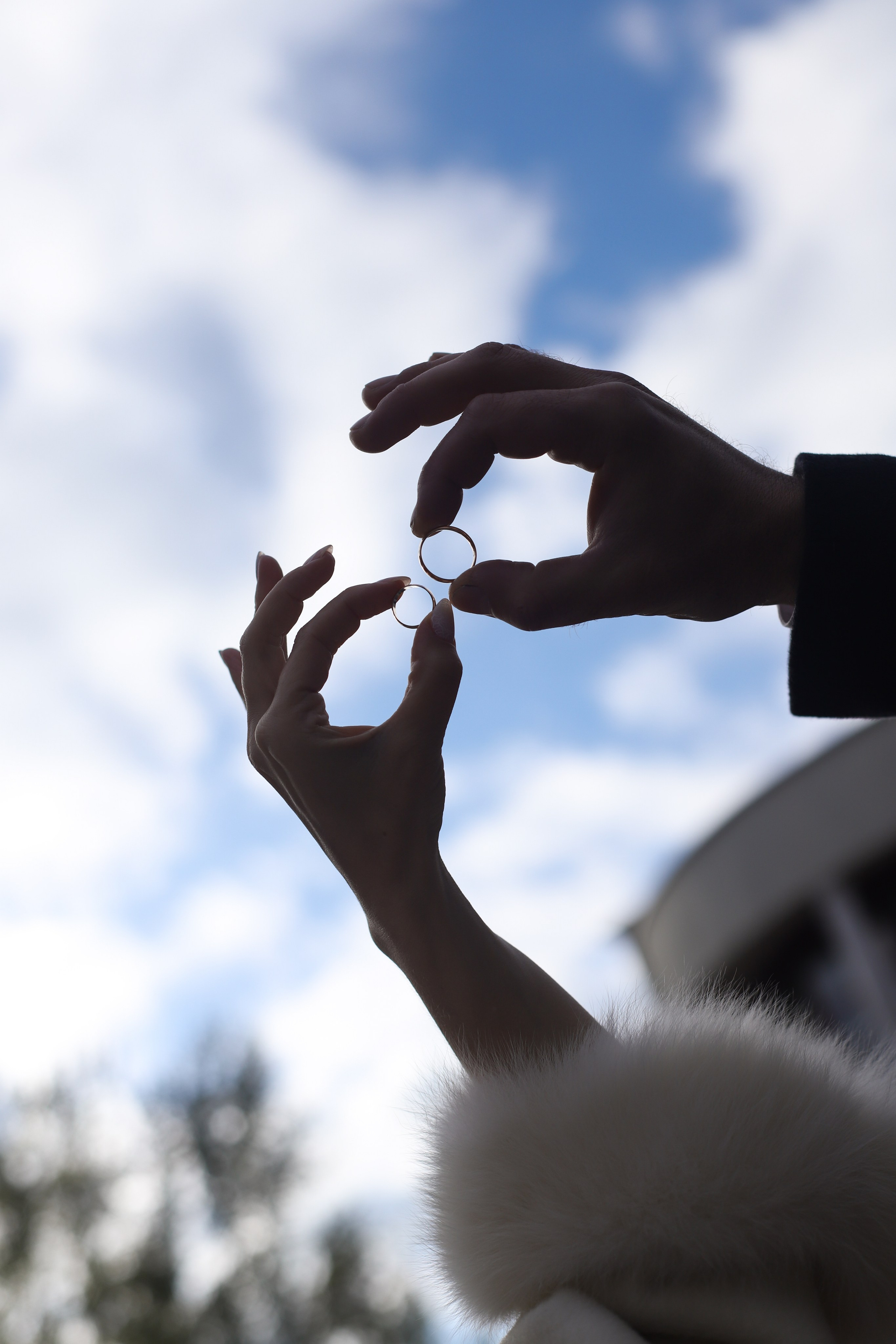 Елена и Александр. Ilopavlova_ph