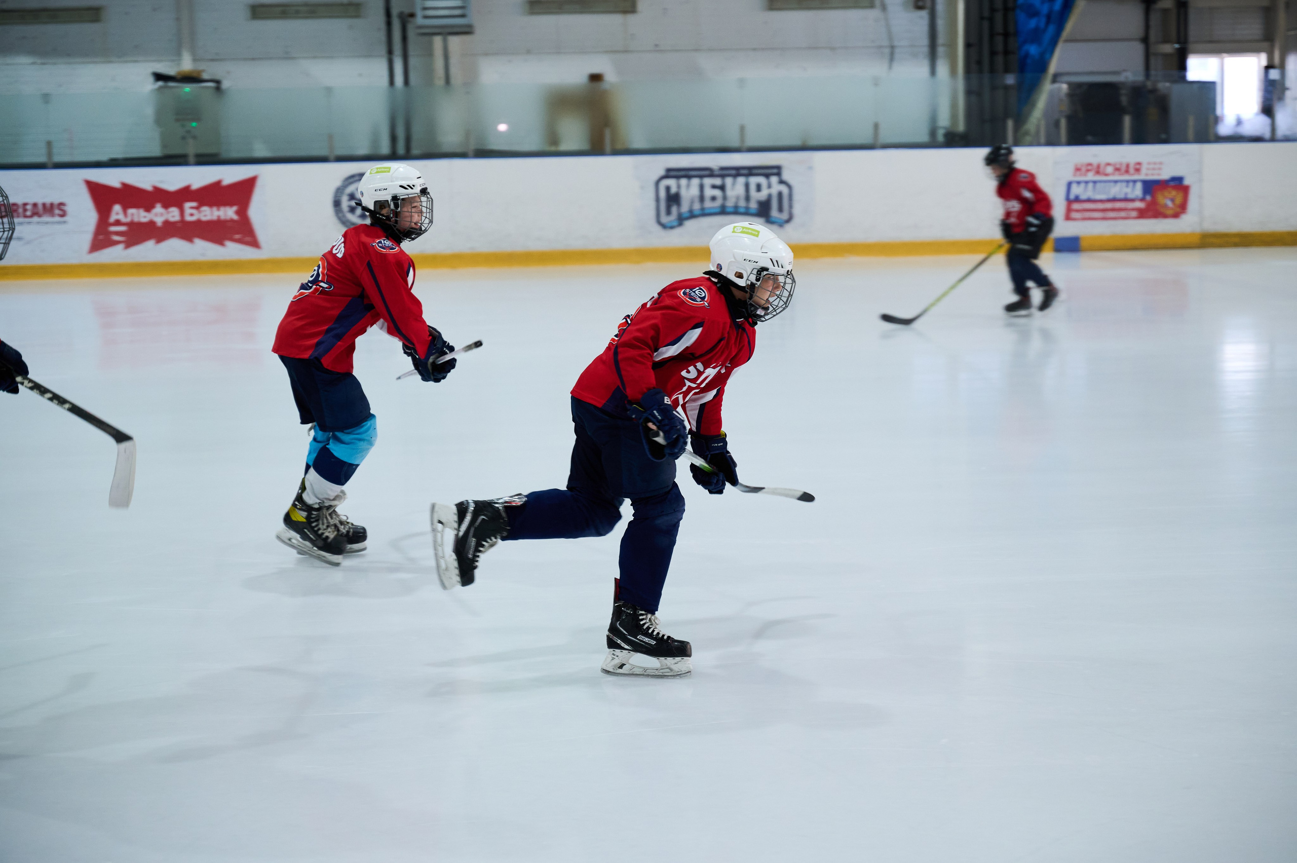 Boston Stars. Фотограф Универсал в Новосибирске