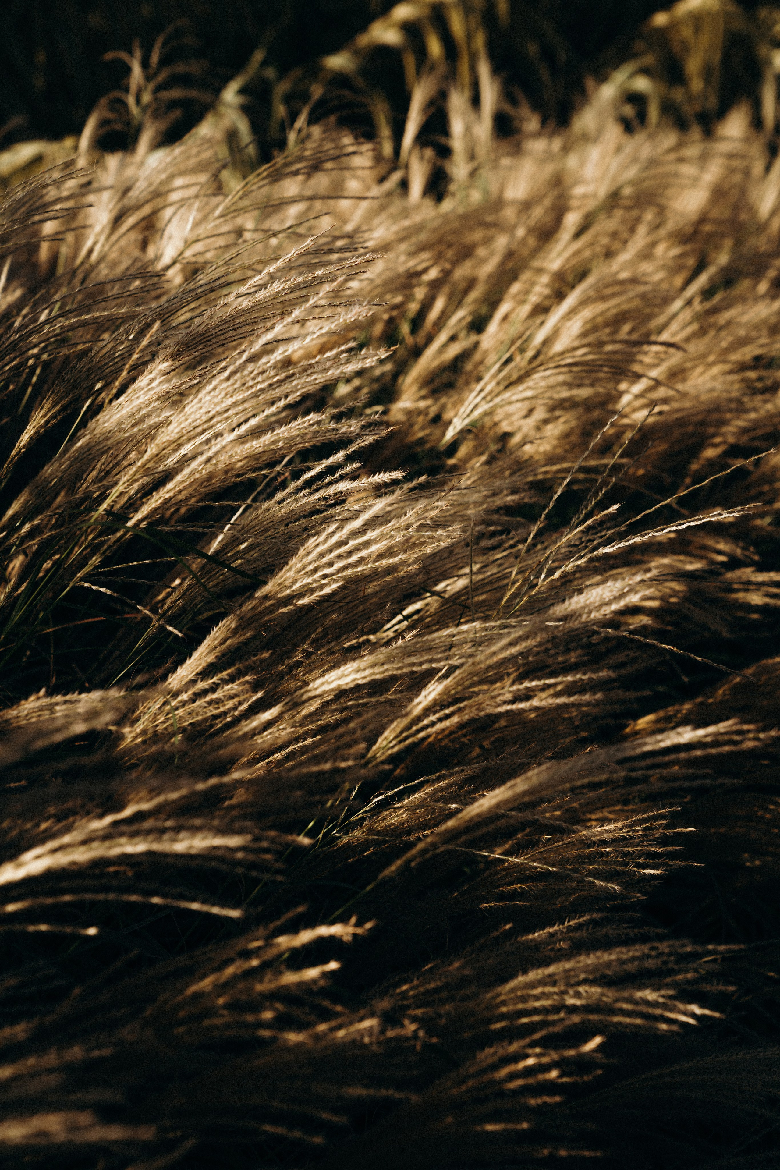 Лицей им. Лобачевского. Контентный и свадебный фотограф в Краснодаре и Сочи Елена Плотникова