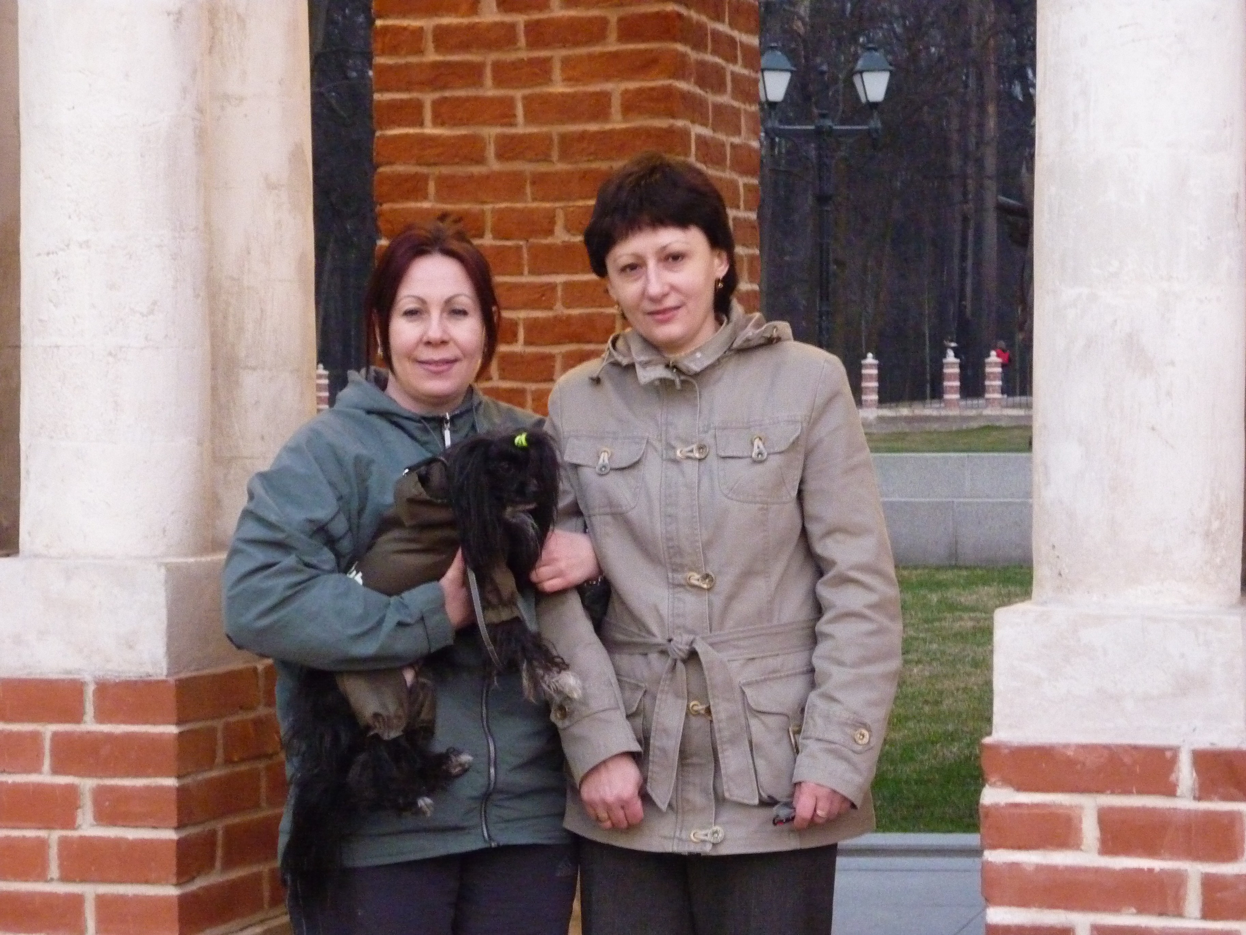 Star Universe. Chinese Crested Dog Kennel Poale Ell