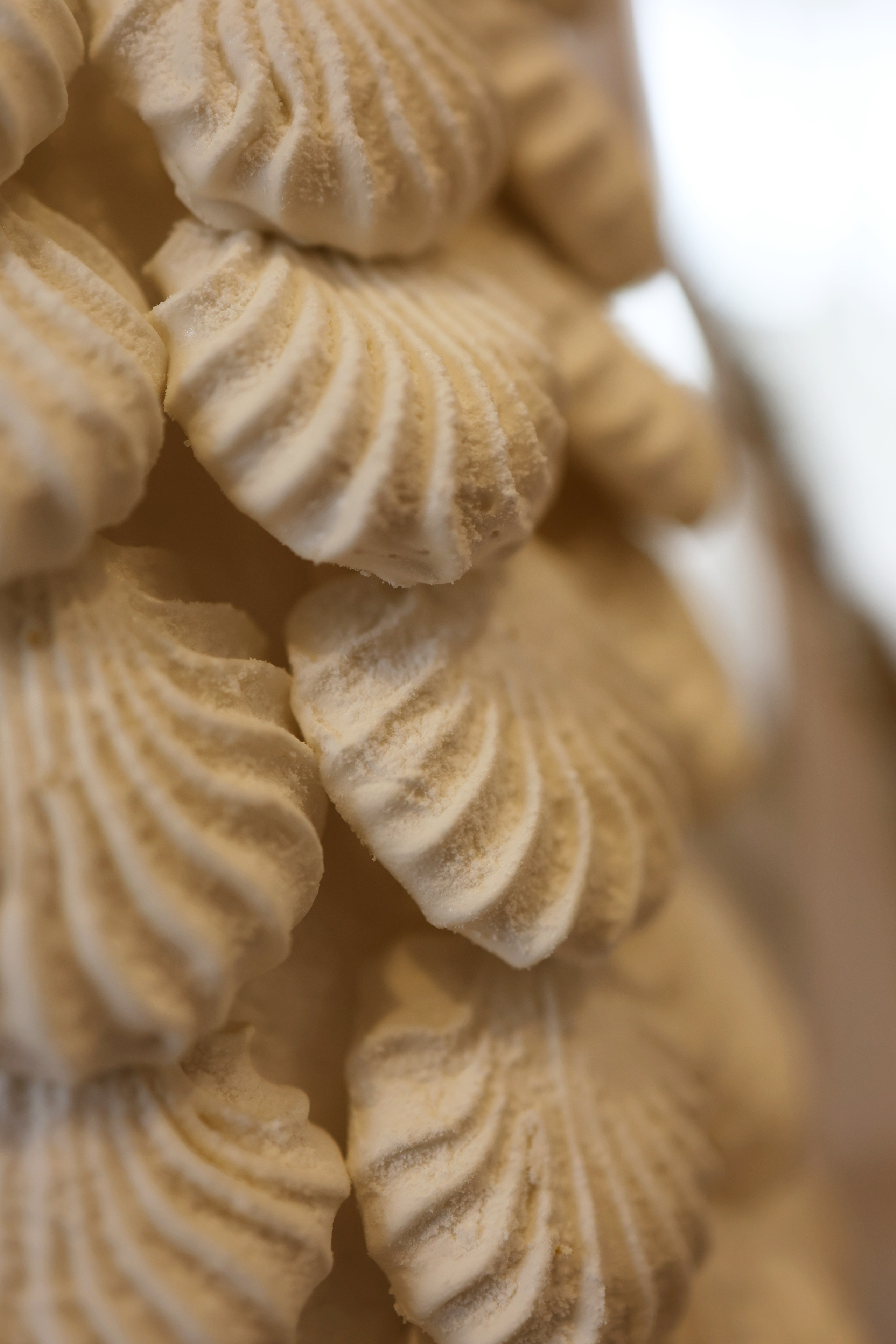 Екатерина. Свадебный и семейный фотограф в Воронеже Ксения Воротникова