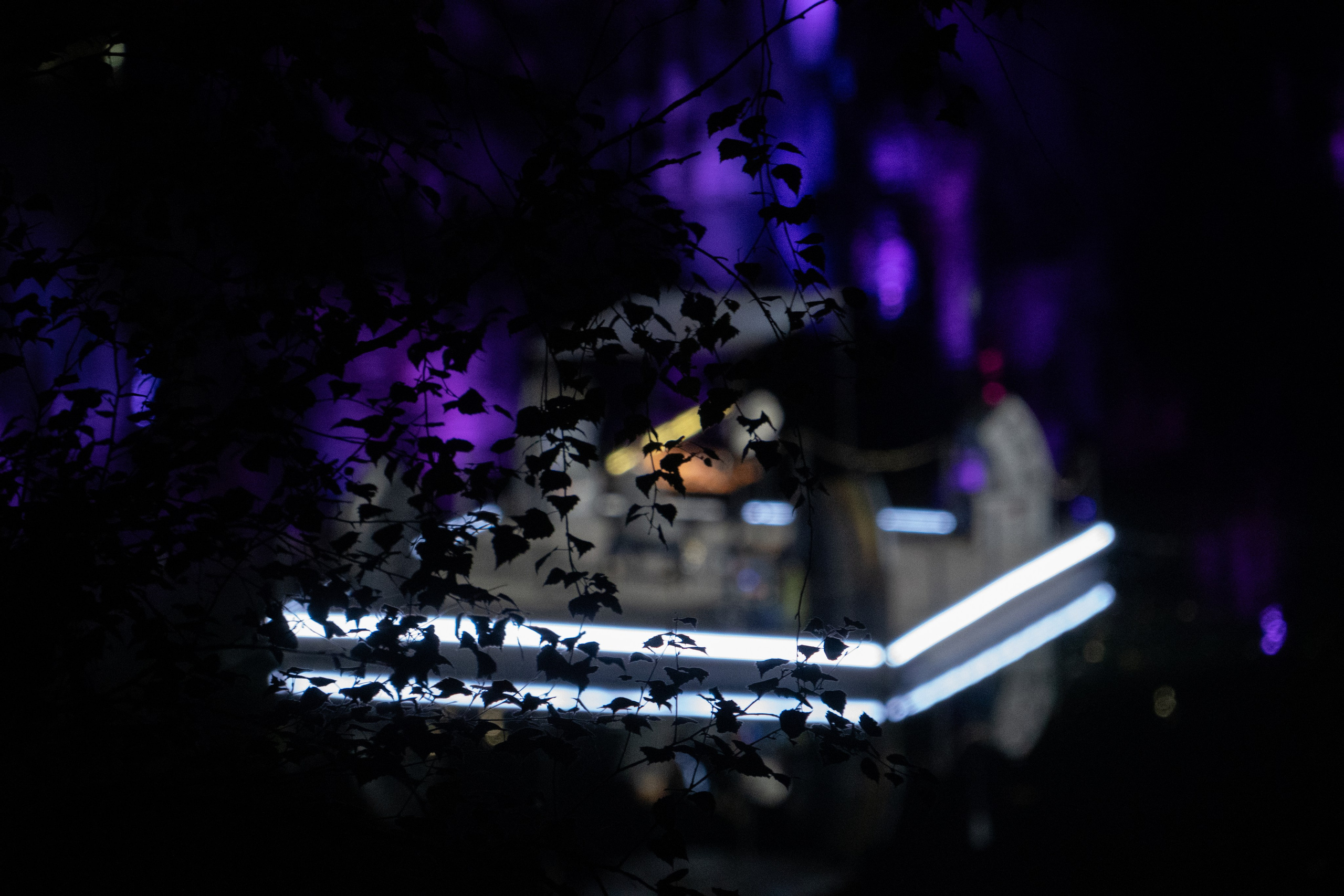 Рояль в каньоне. Карелия. Видеограф, фотограф в Санкт-Петербурге Элеонора Петрова