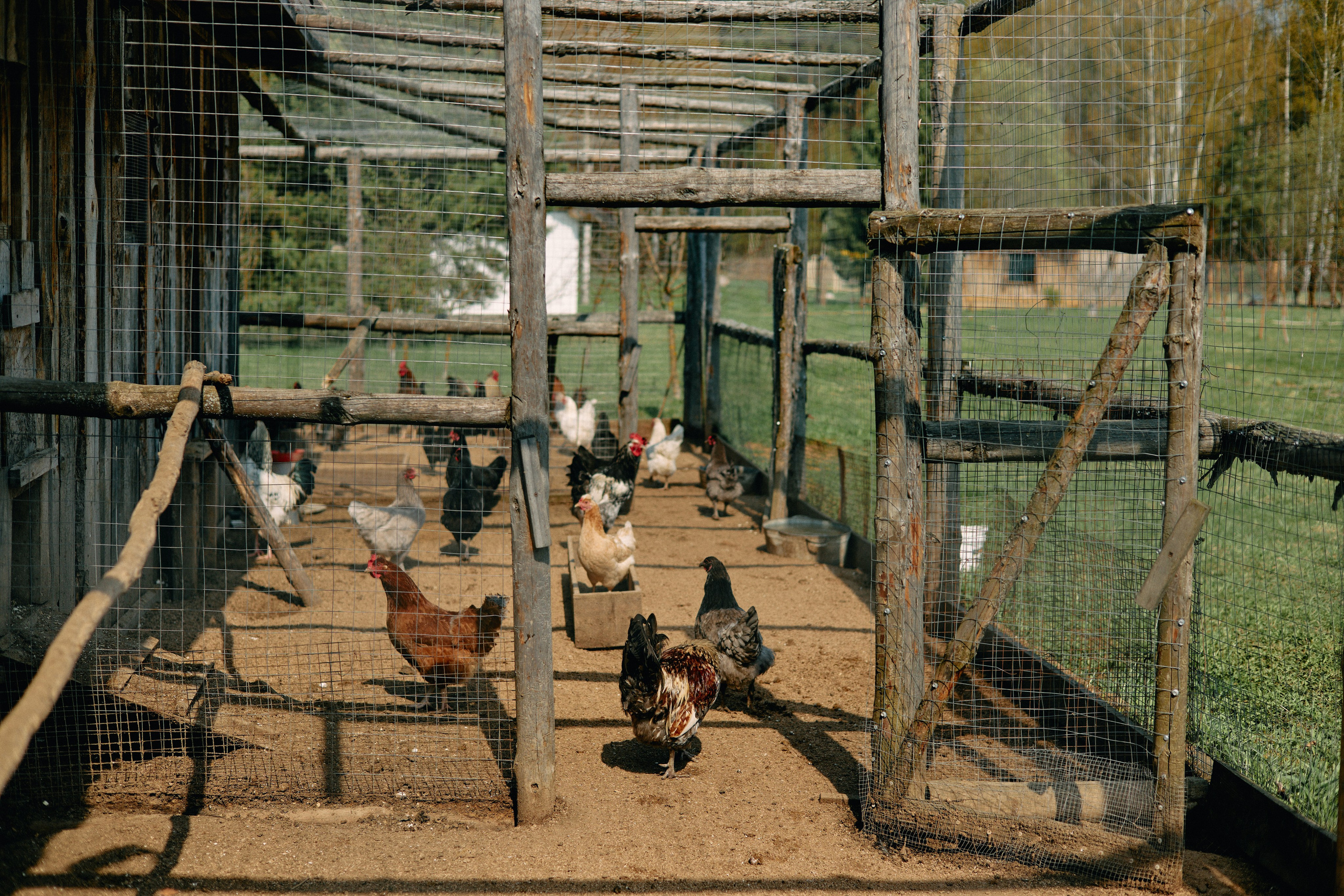 Бутик-отель Поле летом. Профессиональный Фотограф во Владимире, в Москве и в Суздале — Полина Романычева