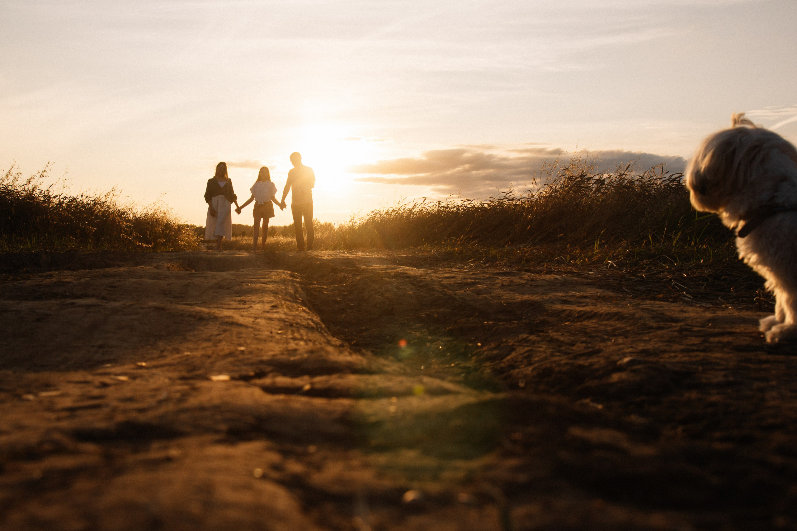Семейная фотосессия на закате в полях. Семейный фотограф в Томске Максимова Екатерина