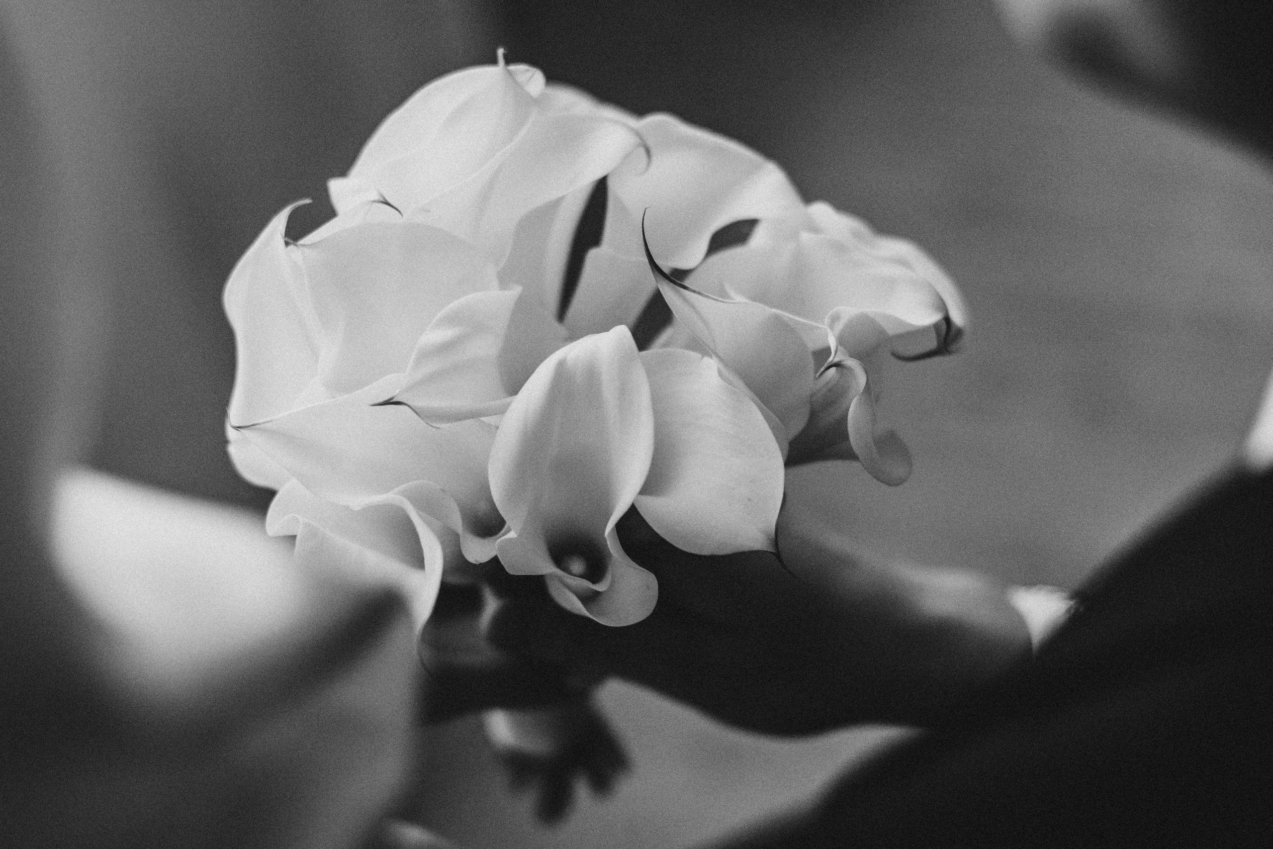 Ольга и Андрей. Семейный и свадебный фотограф в Москве и Подмосковье Еремина Александр