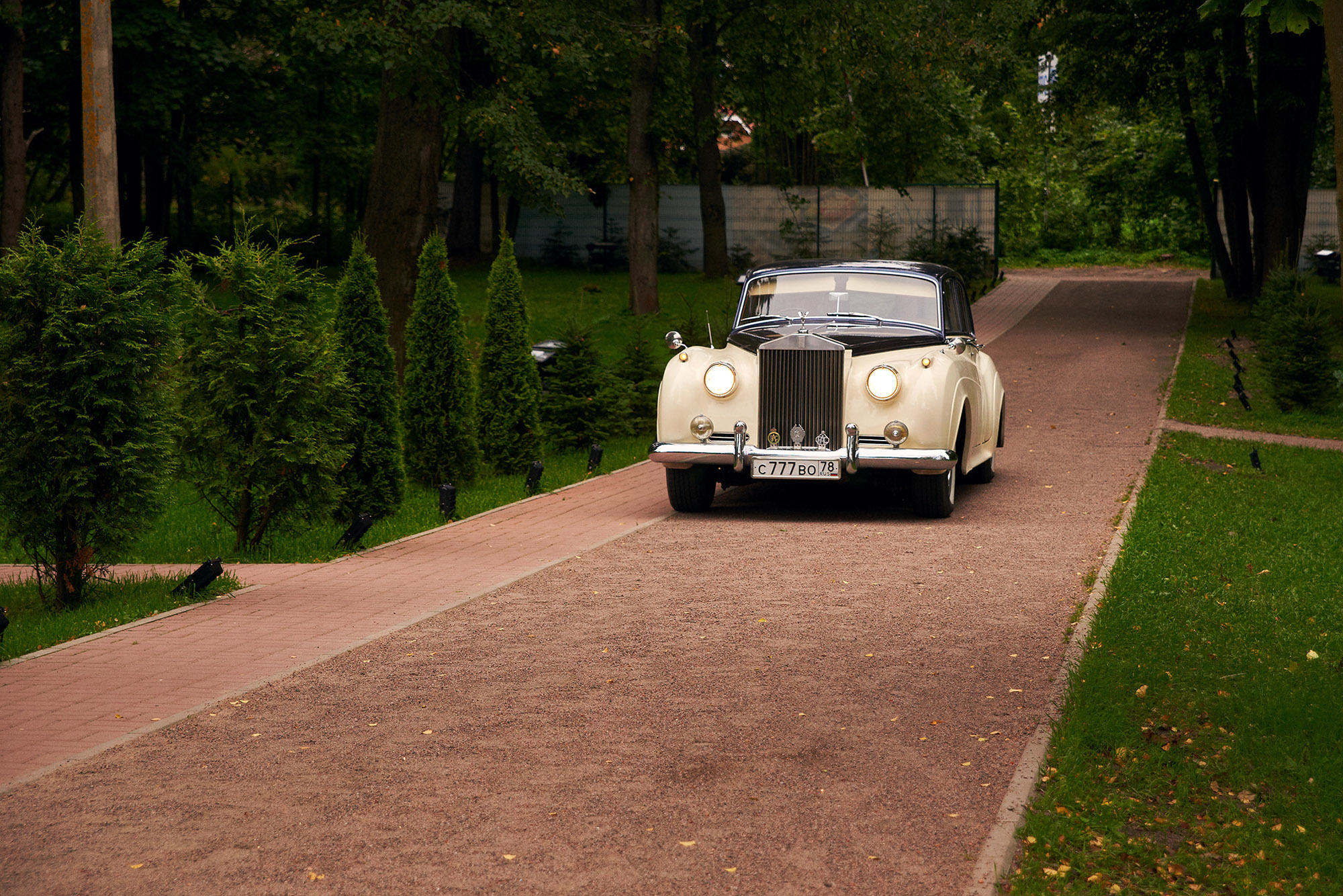 Свадьба Эльмиры и Ивана. Свадебный фотограф Санкт-Петербург. Фотограф Дмитрий Цветков | Санкт-Петербург