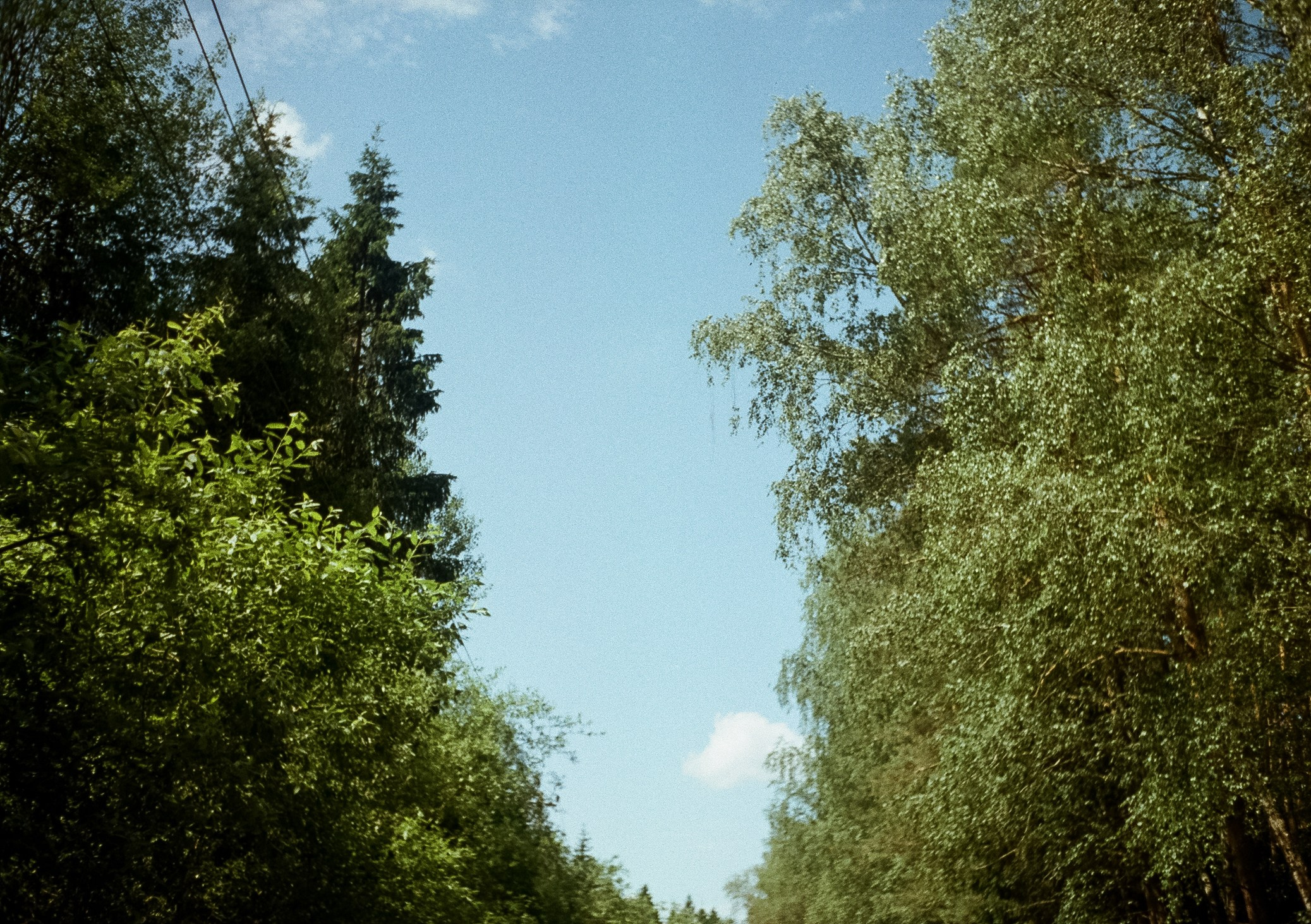 Солнечный июнь. Дача. Пионы. Фотограф-документалист Мария Осокина