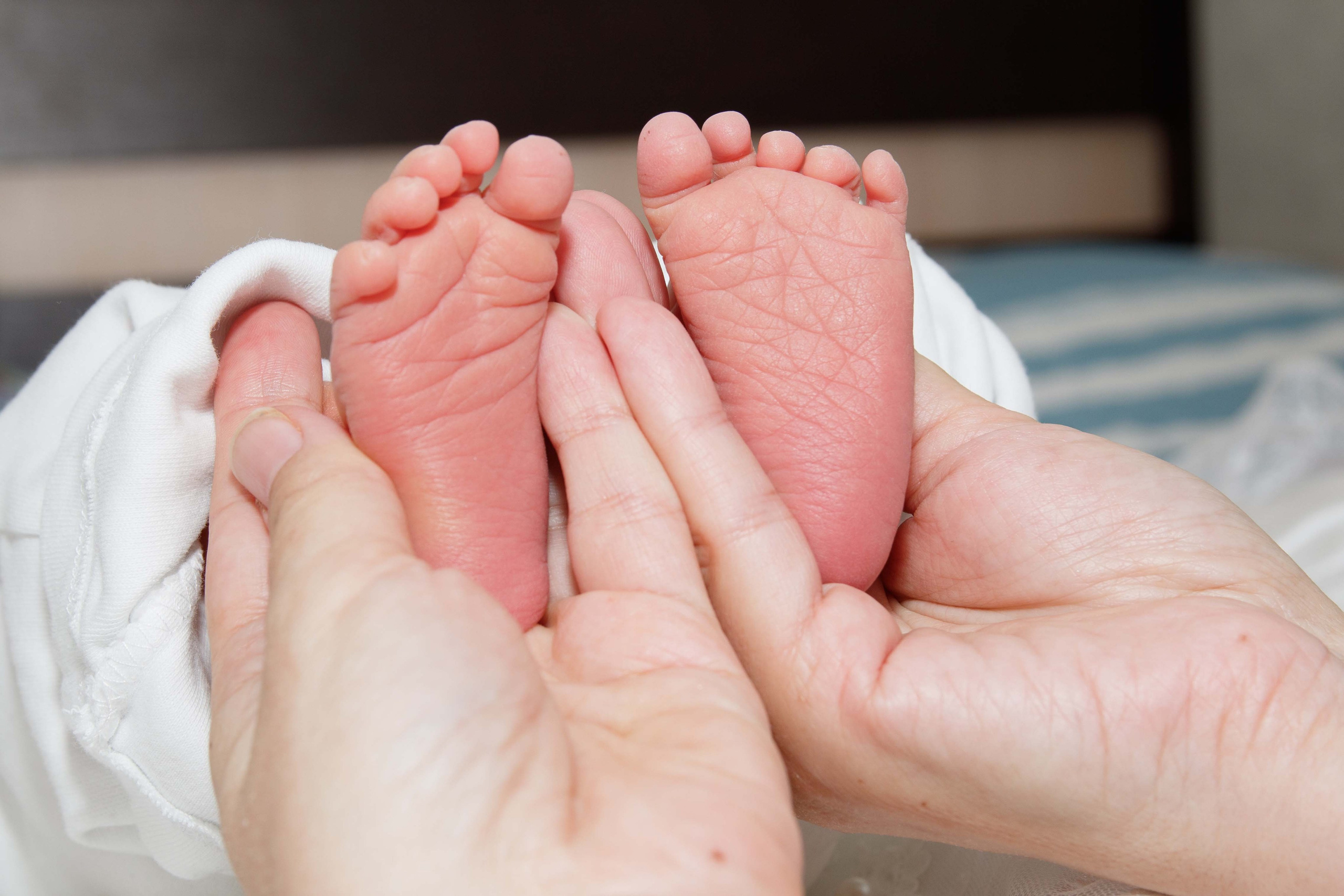 Семейная фотосессия. Репортажный Фотограф