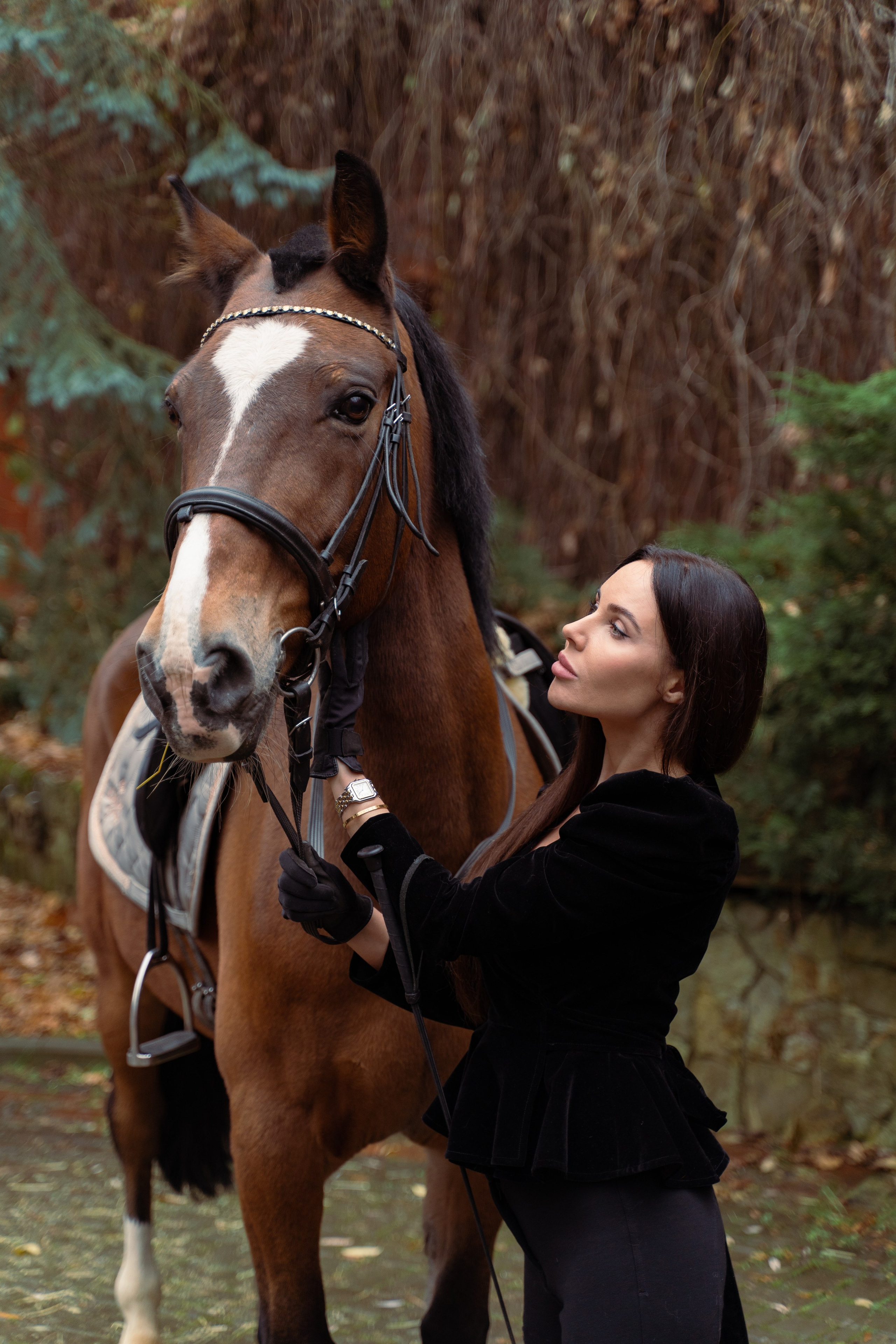Фотосессия с лошадьми. Главная