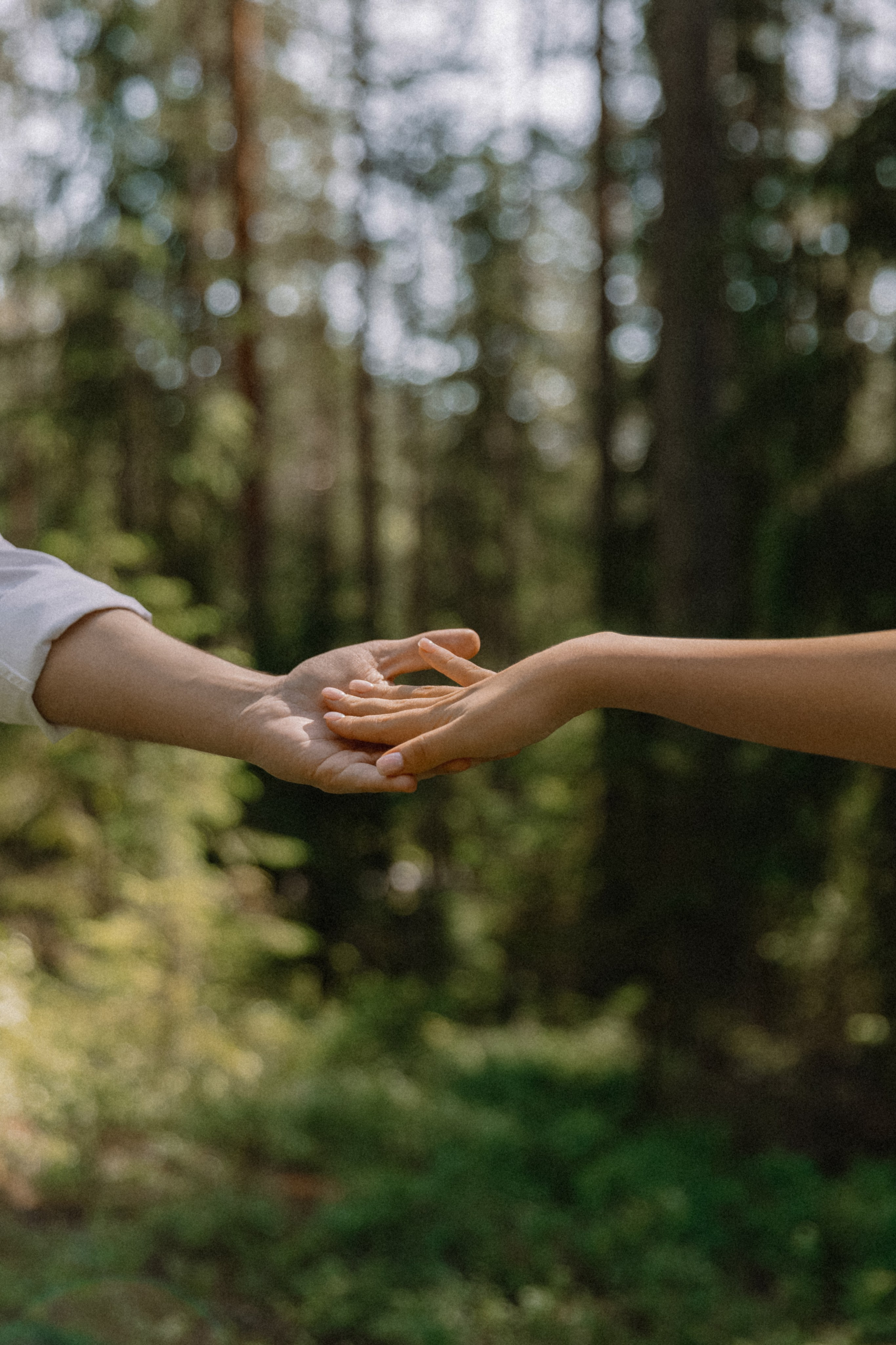 Карина + Дима: банкет. Николь — ваш любимый фотограф в Санкт-Петербурге