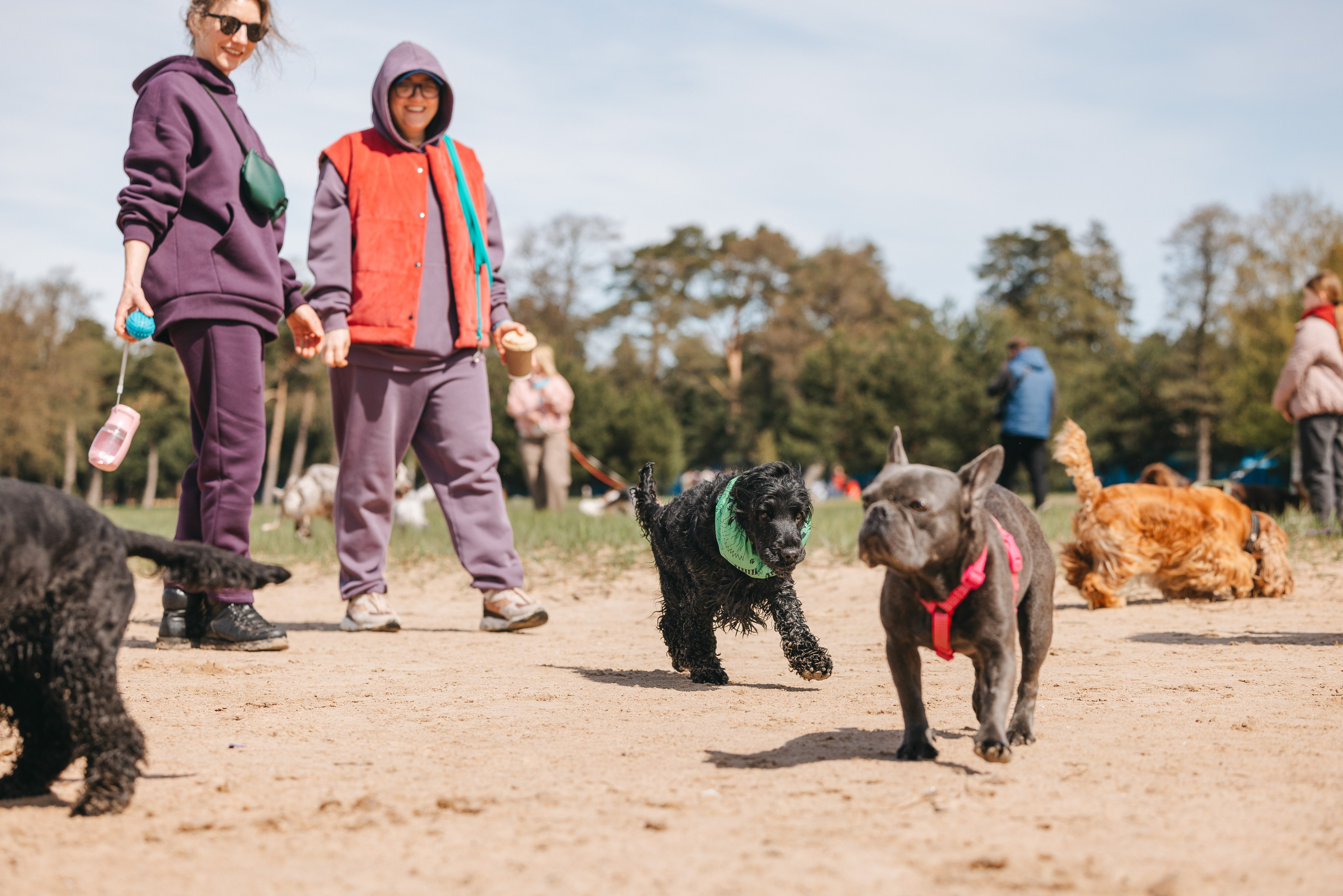 Спанимания. Фотограф анималист Осипчикова Мария