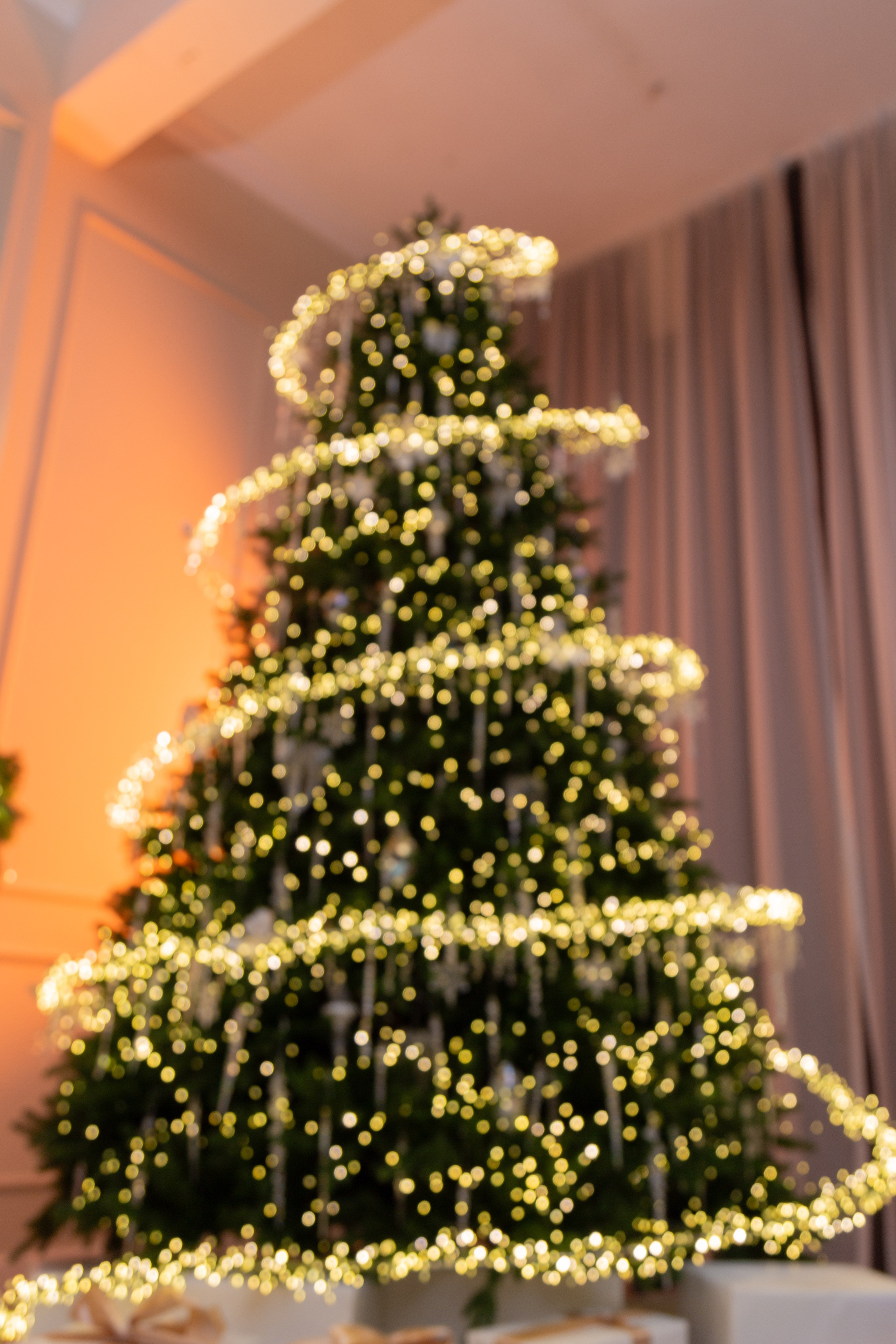 Белый Осел. Детский семейный фотограф Краснодар