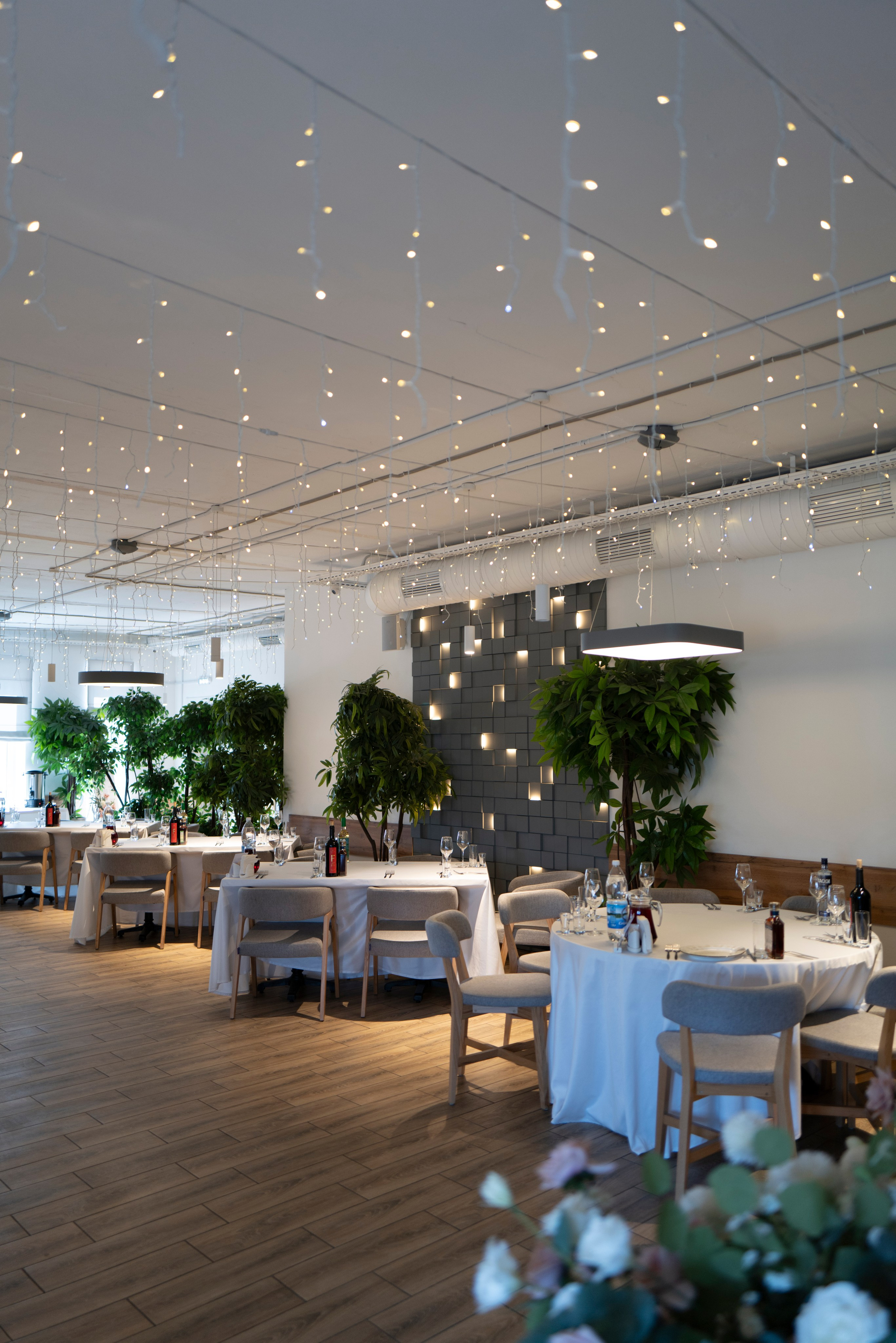 Рестораны. Maxon Magnusson