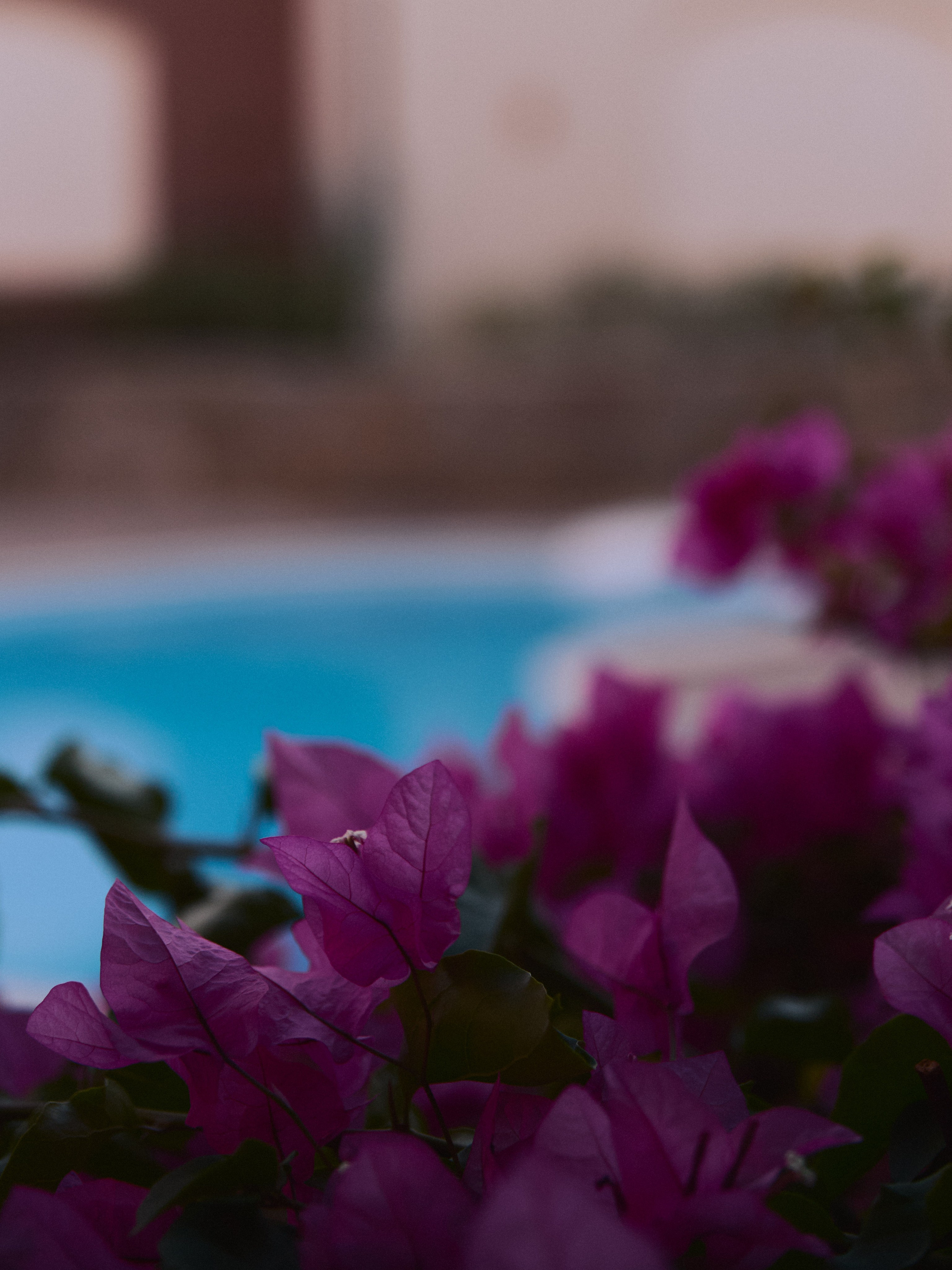 Другое 2. Jorgis Talè — photographer, kind person, teacher of arts and other mag