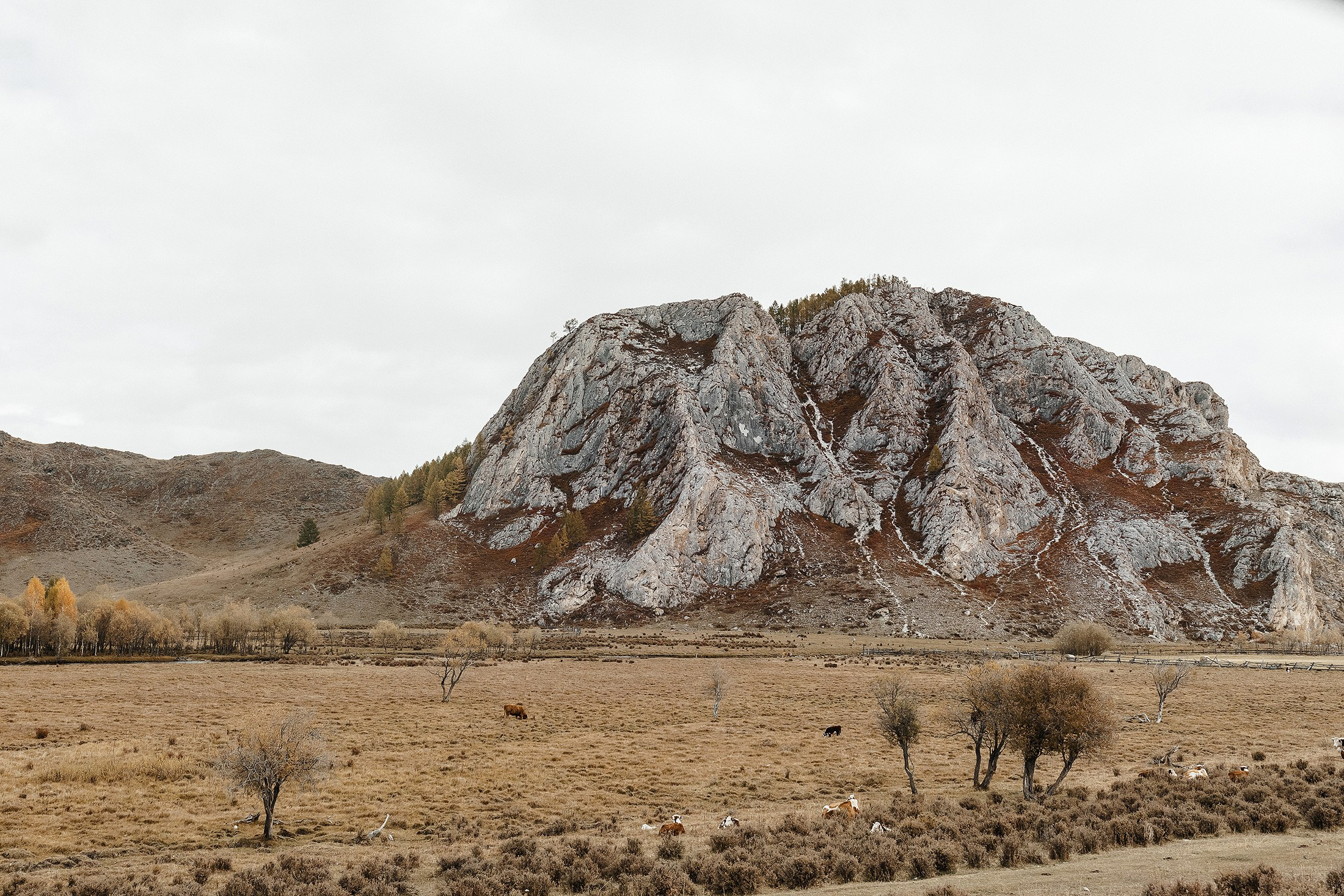 Женя и Яна. Свадебный фотограф в Москве и МО Александр Ласковенков