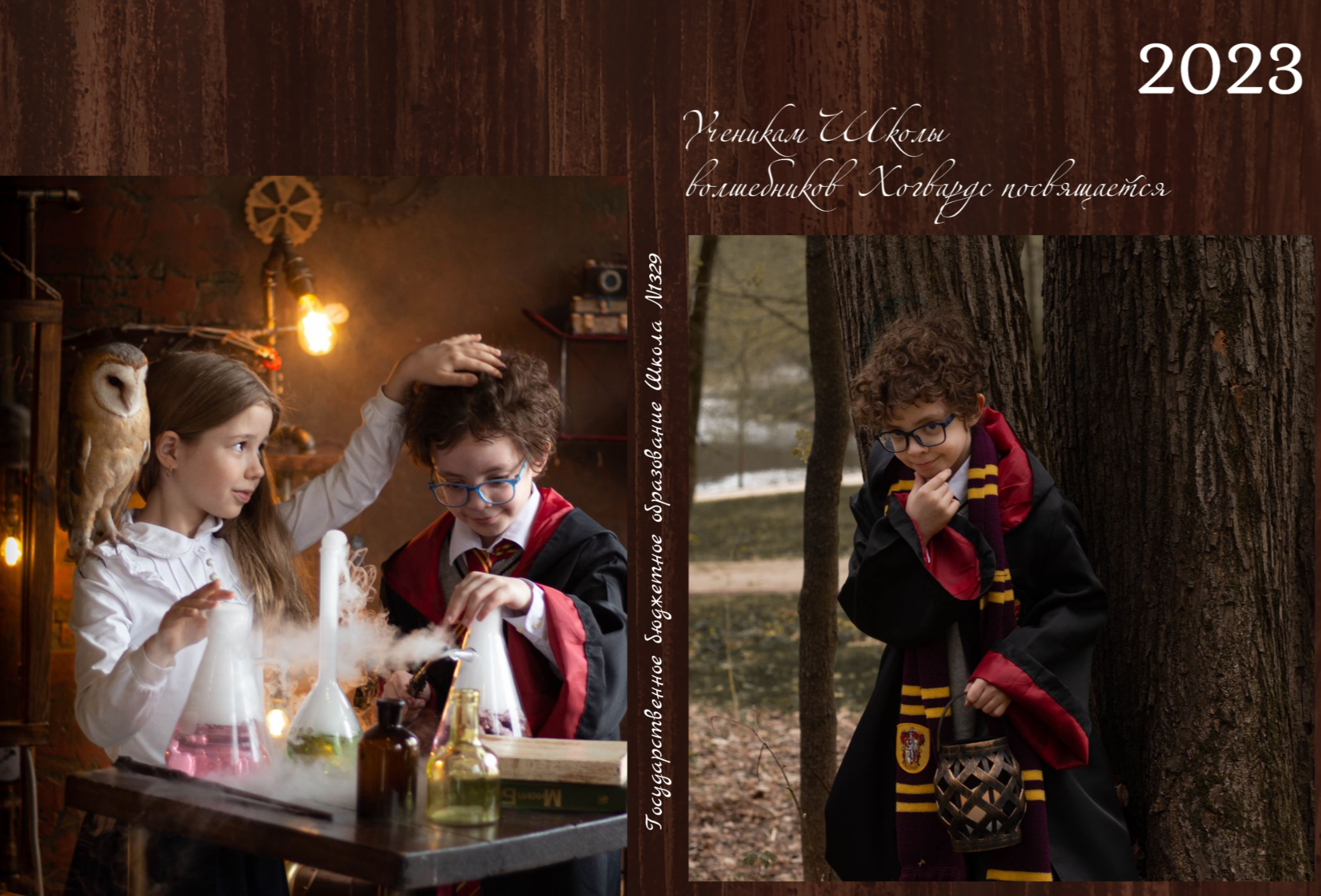 Школа Хогвардс, от 4100р, 10 и более разворотов, плотная обложка, мягкие страницы, 2 выезда, без учета аренды студии