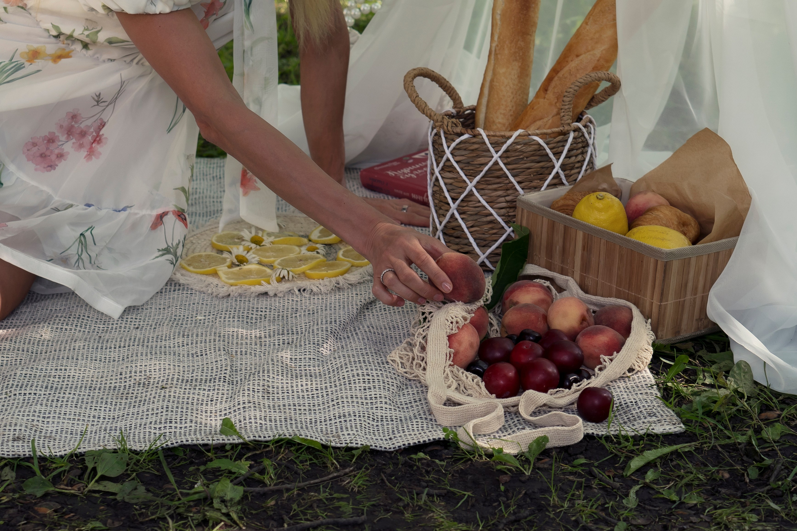 Елизавета. Портрет. Пикник. Главная