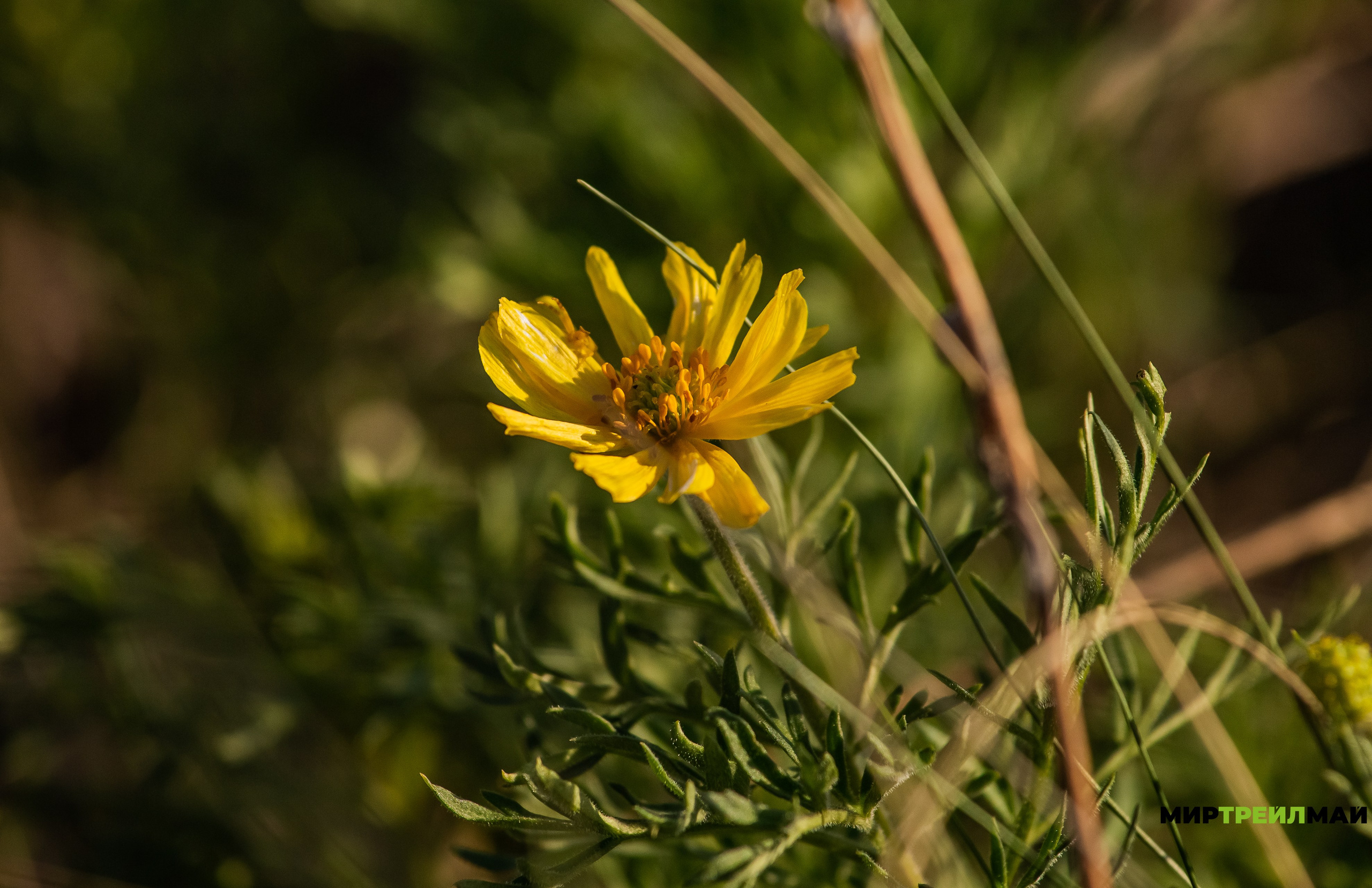 Южный Урал. Авторские туры с профессиональным фотографом