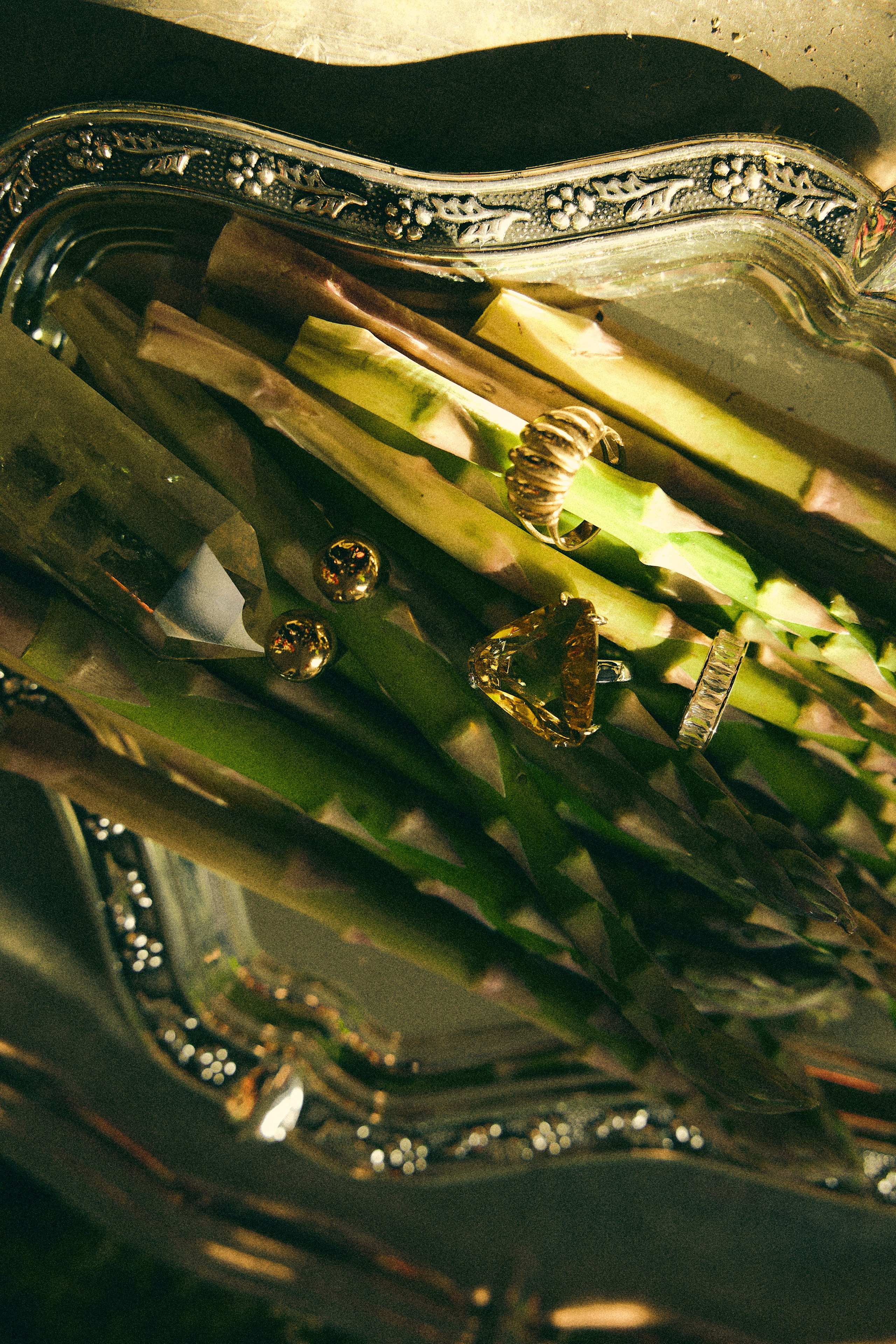 Свадебный фотограф Ростов-на-Дону, Краснодар, Москва