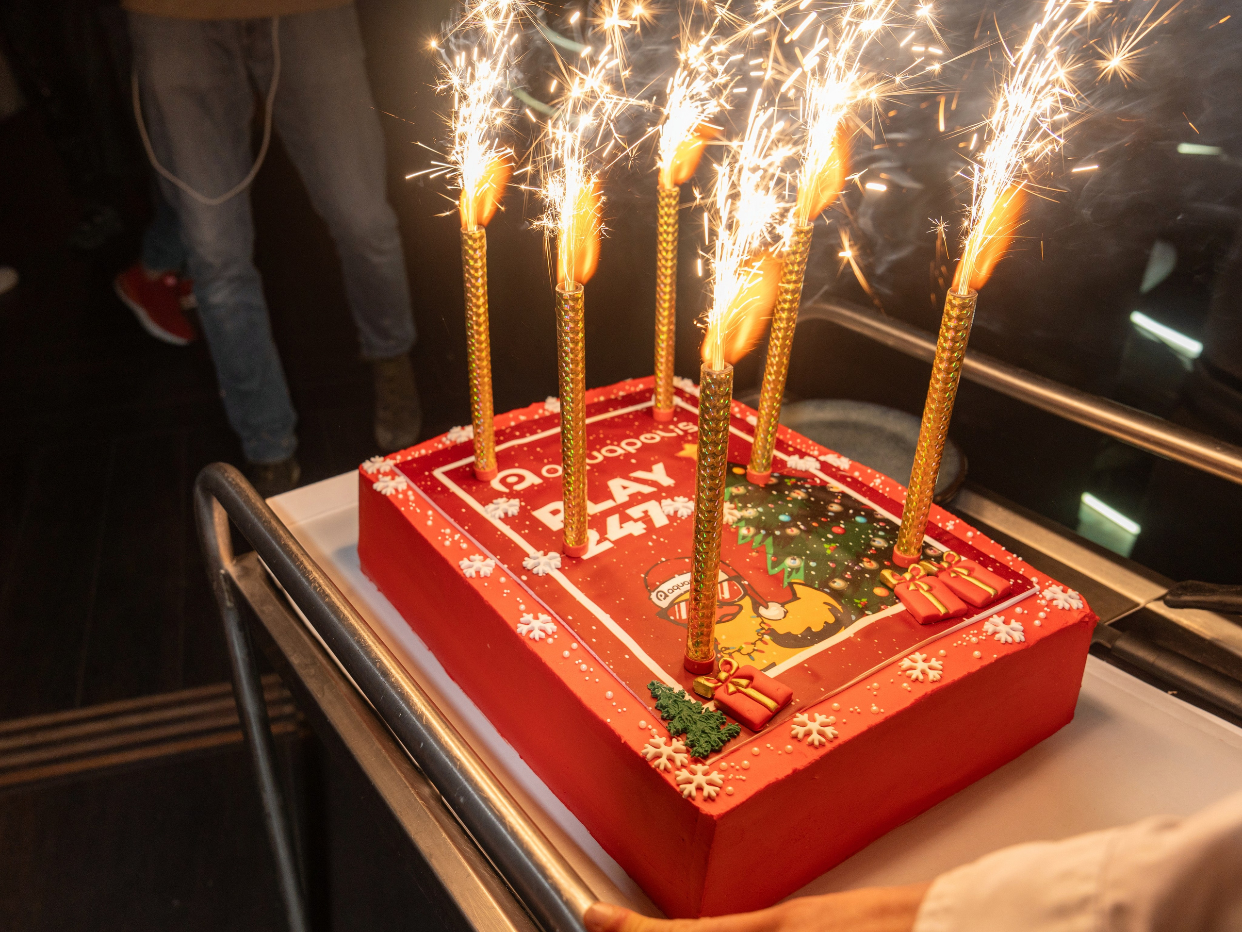 Гала-ужи «Акваполис». Репортажный фотограф в Красной Поляне и Сочи Павлюченко Екатерина