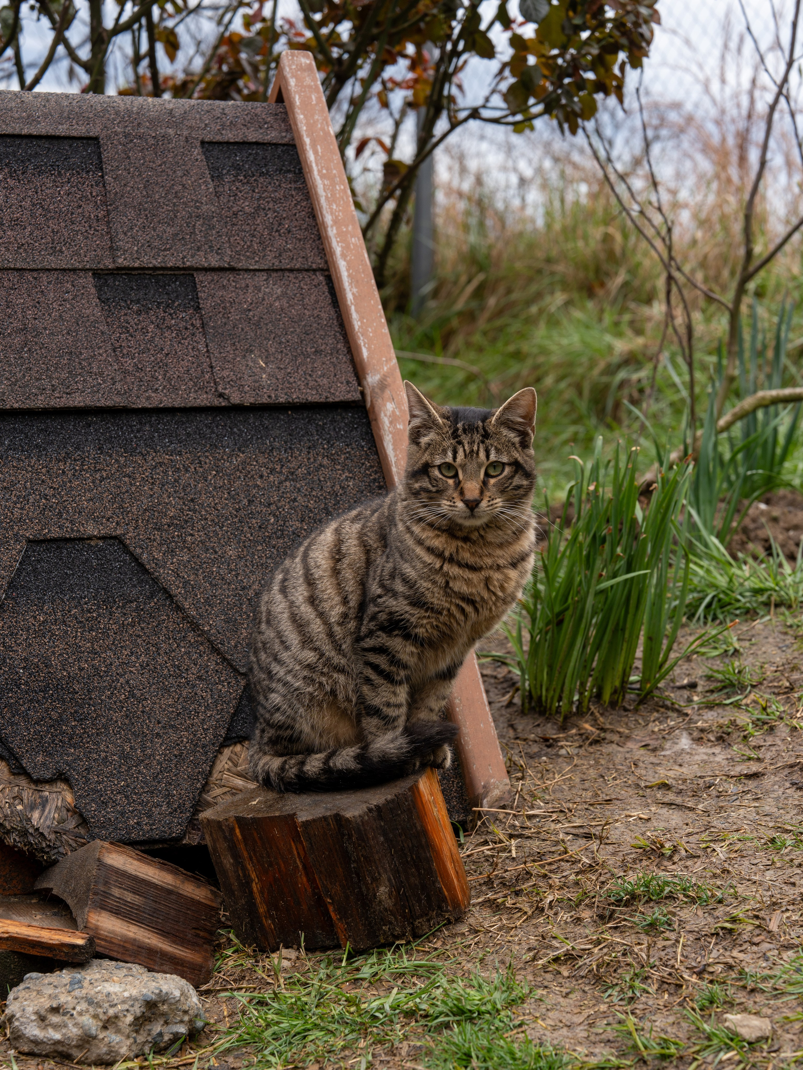 MICE мероприятие на ферме Экзархо. Репортажный фотограф в Красной Поляне и Сочи Павлюченко Екатерина