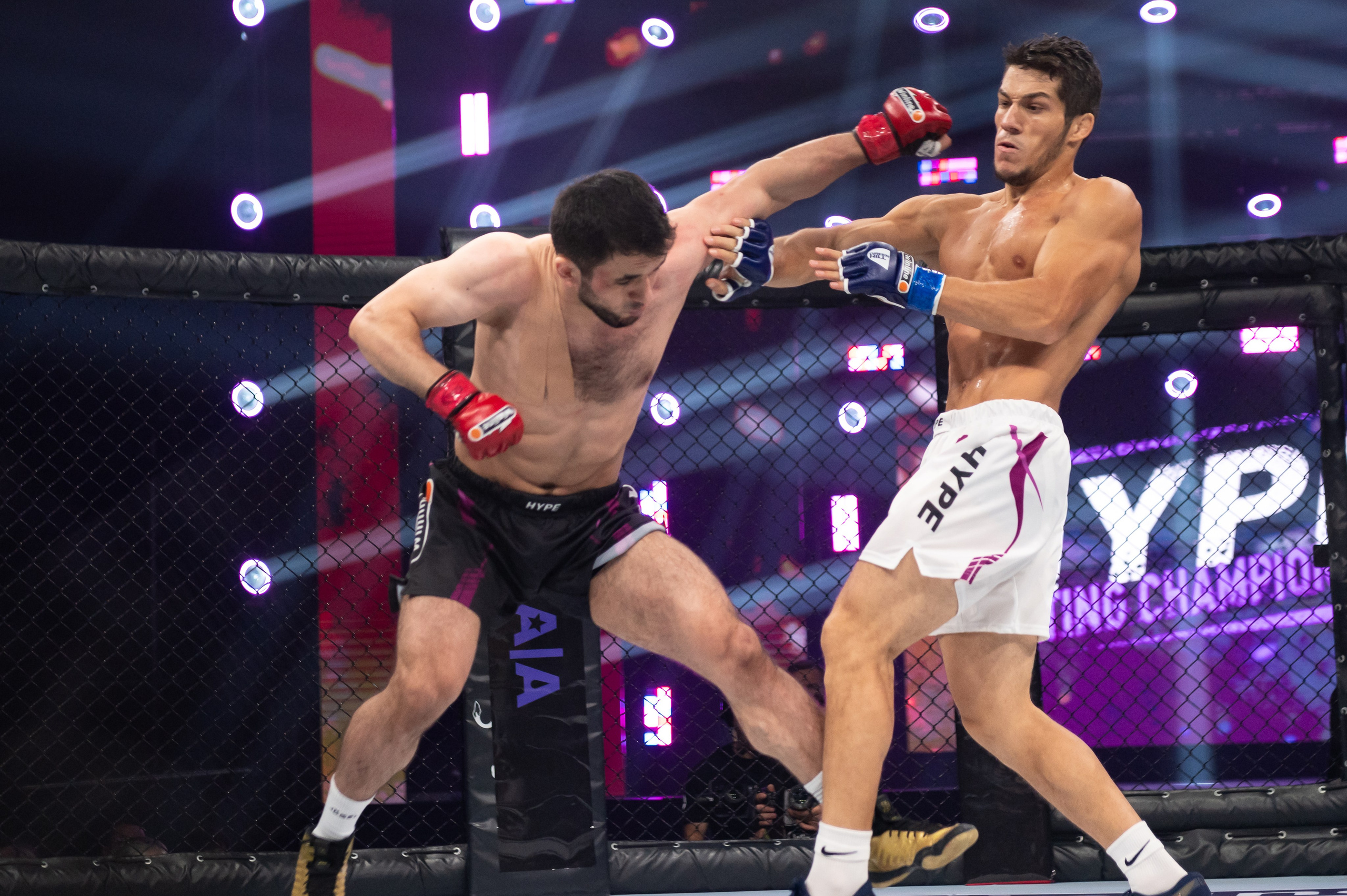 Бои. Репортажный фотограф в Красной Поляне и Сочи Павлюченко Екатерина